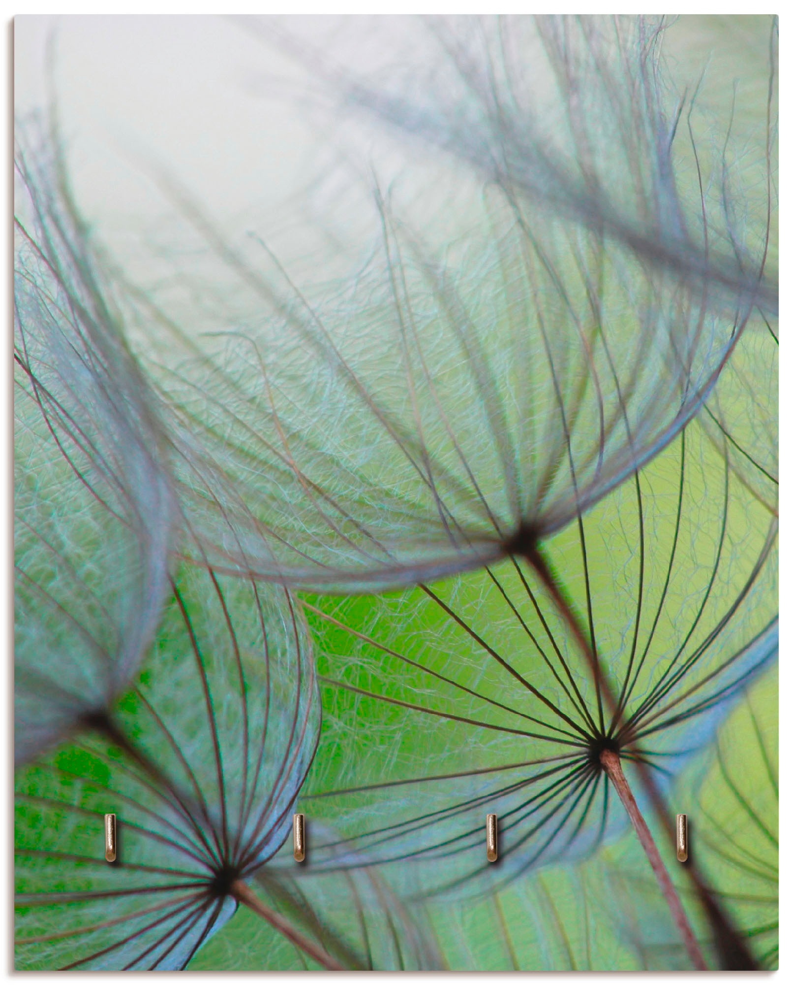 Image of Artland Hakenleiste »Pusteblumen-Samen II«, aus Holz mit 4 Schlüsselhaken – Schlüsselboard, Schlüsselbretter, Schlüsselhalter, Schlüsselaufhänger für den Flur – Stil: Modern bei Ackermann Versand Schweiz