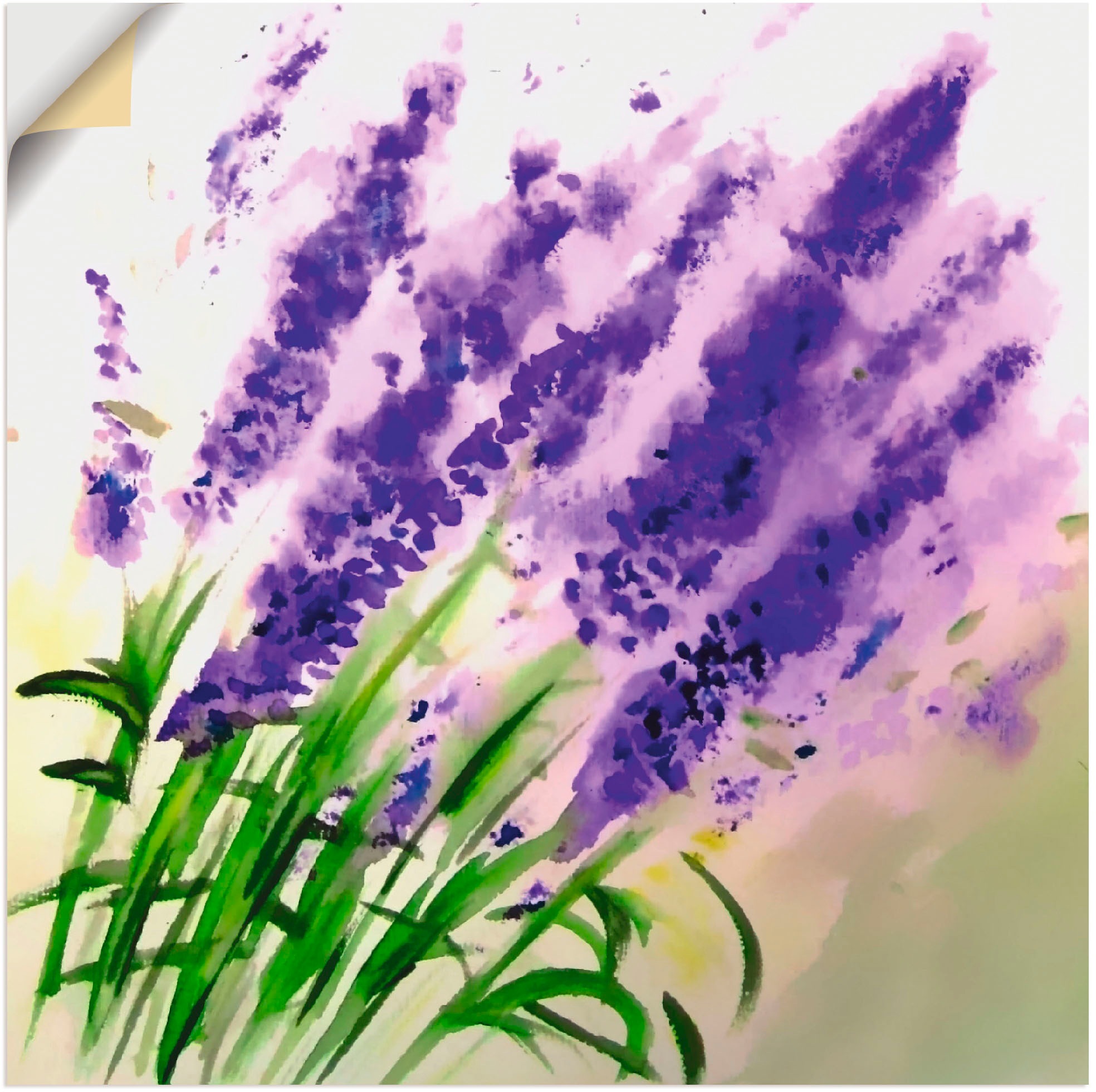 Image of Artland Wandbild »Lavendel-aquarell«, Blumen, (1 St.), in vielen Grössen & Produktarten -Leinwandbild, Poster, Wandaufkleber / Wandtattoo auch für Badezimmer geeignet bei Ackermann Versand Schweiz