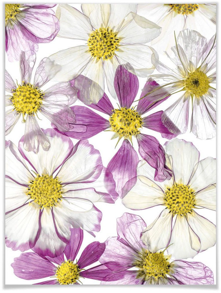 Image of Wall-Art Poster »Keeping Summer«, Schriftzug, (1 St.) bei Ackermann Versand Schweiz