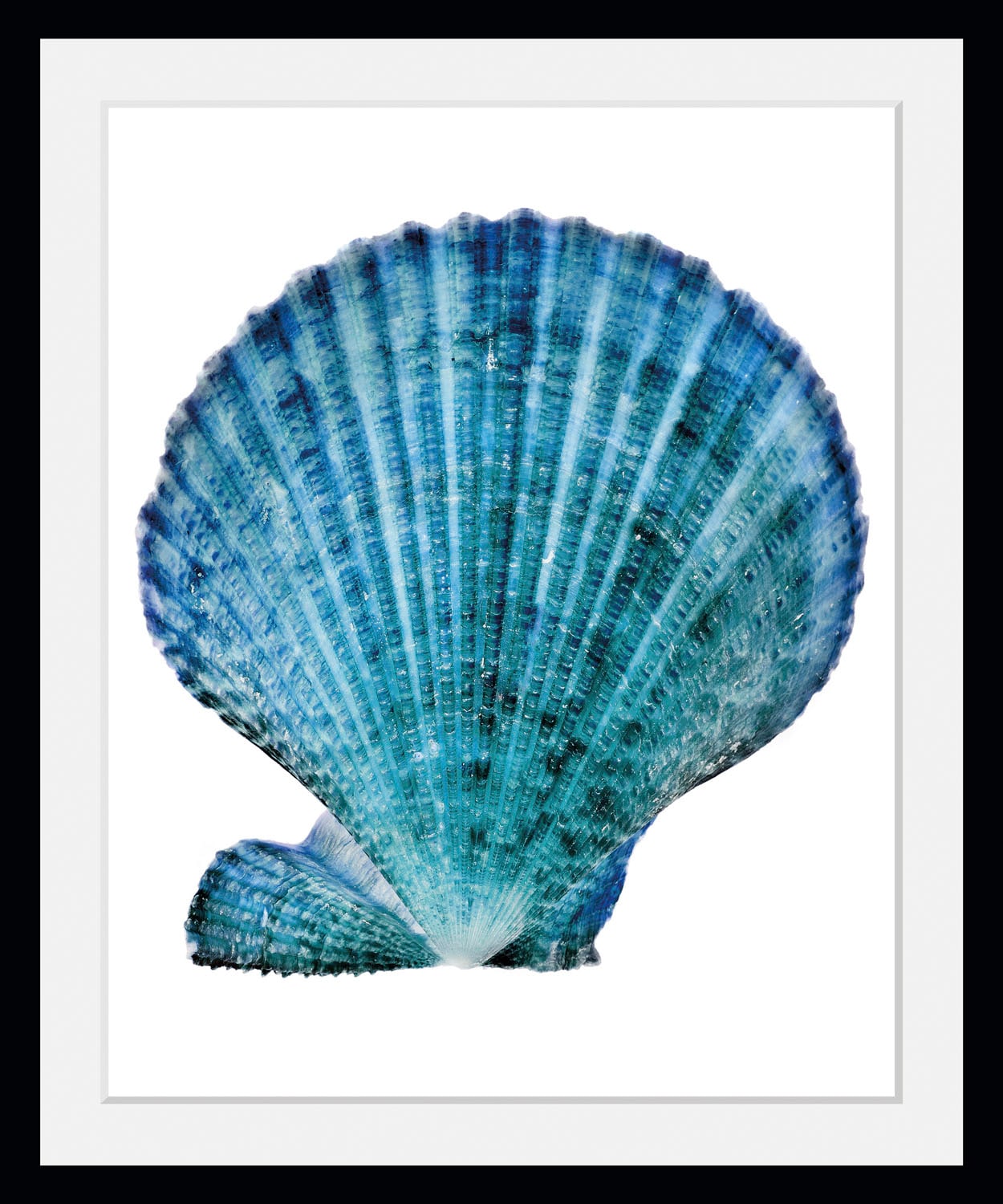 queence Bild »Kain« Foto | Kunst | Meer | Wassertiere 1 Stk. tlg. HD Premium Poster-Druck inkl. Holzrahmen