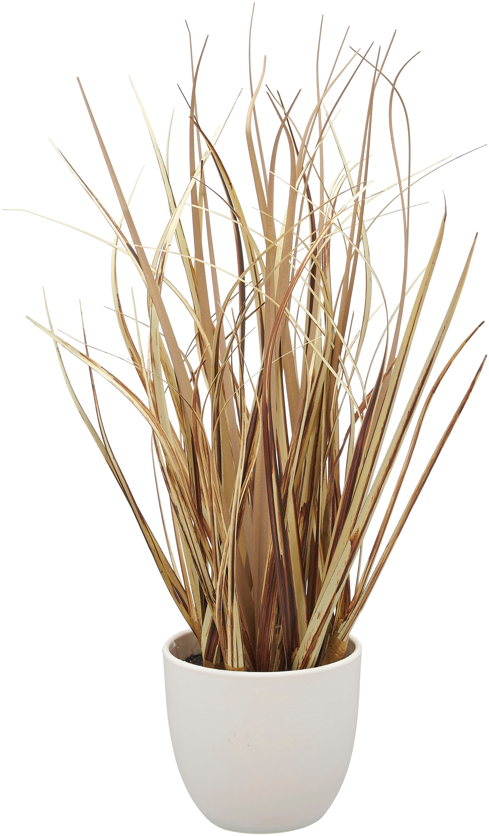 Creativ green Herbe artificielle »Grasbusch Düne« als Set aus drei Ausführungen