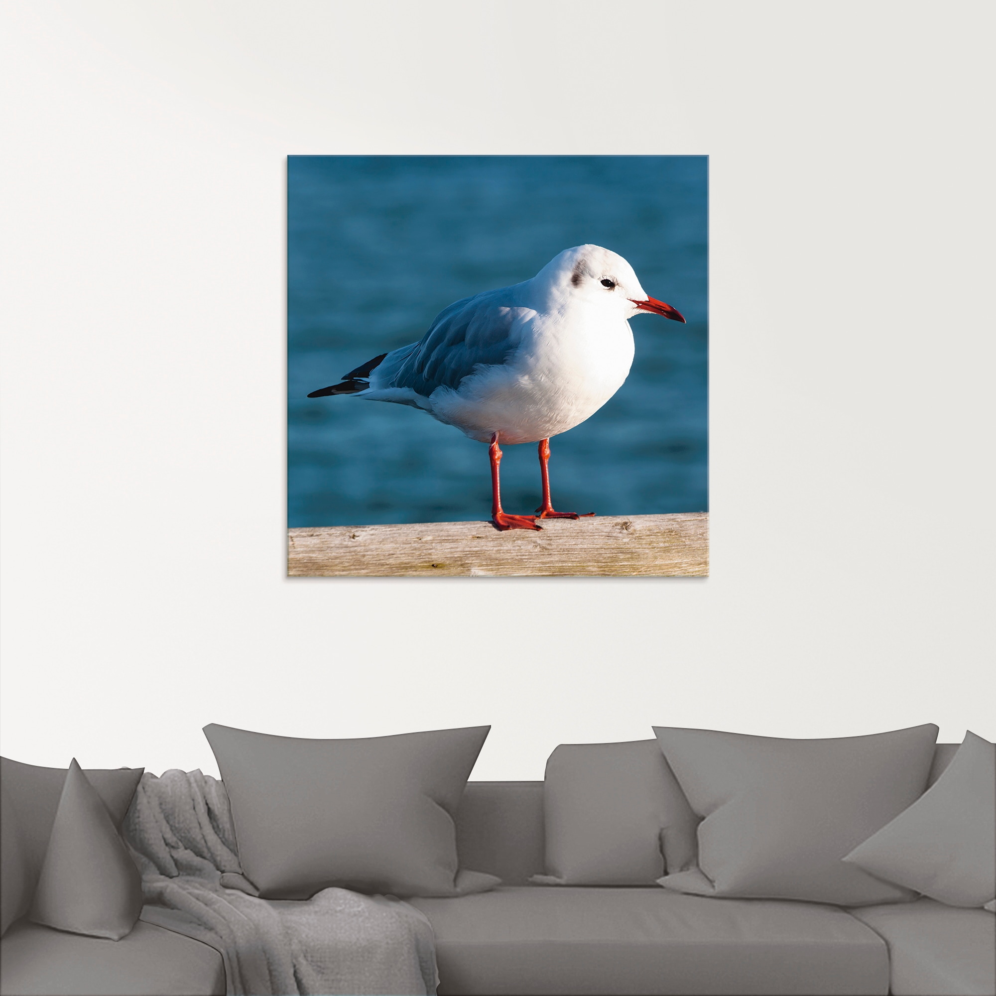 Artland Glasbild »Möwe«, Vögel, (1 St.), in verschiedenen Grössen