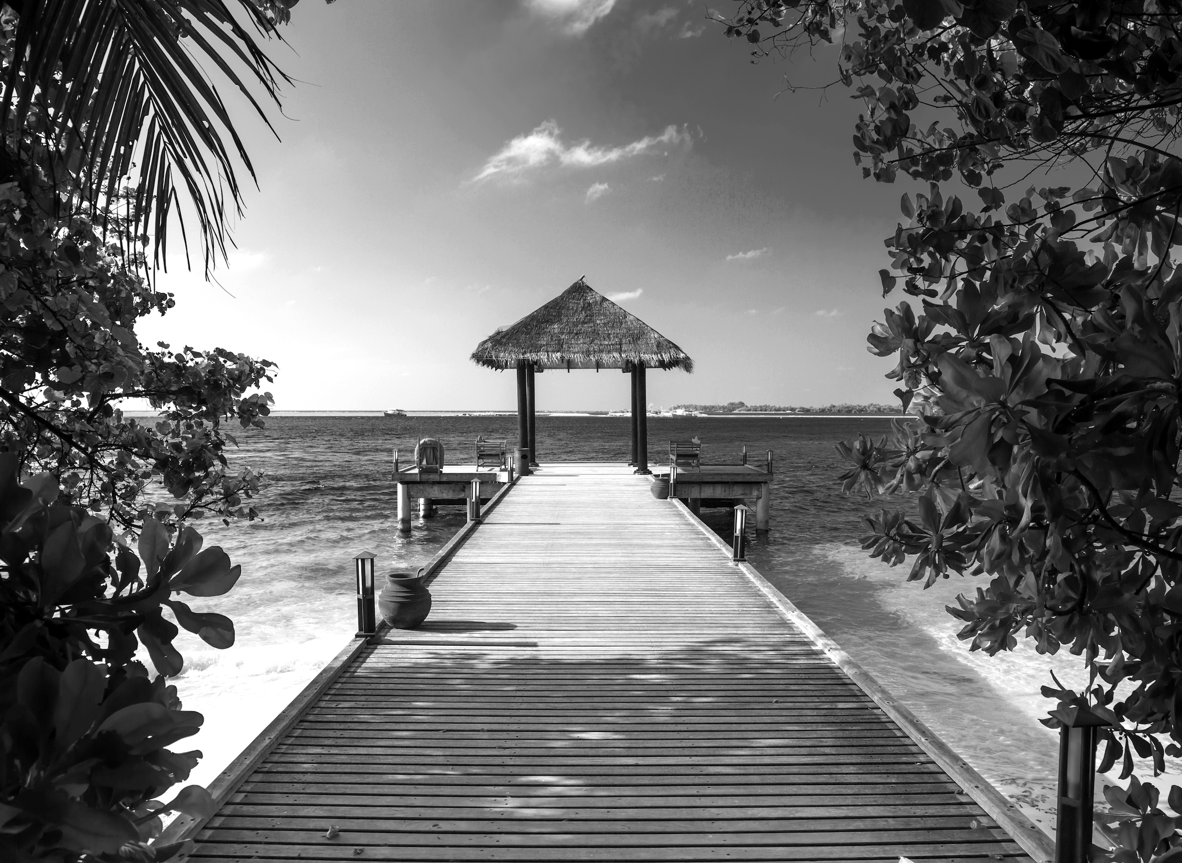 Image of Papermoon Fototapete "Steg am Strand Schwarz & Weiss"