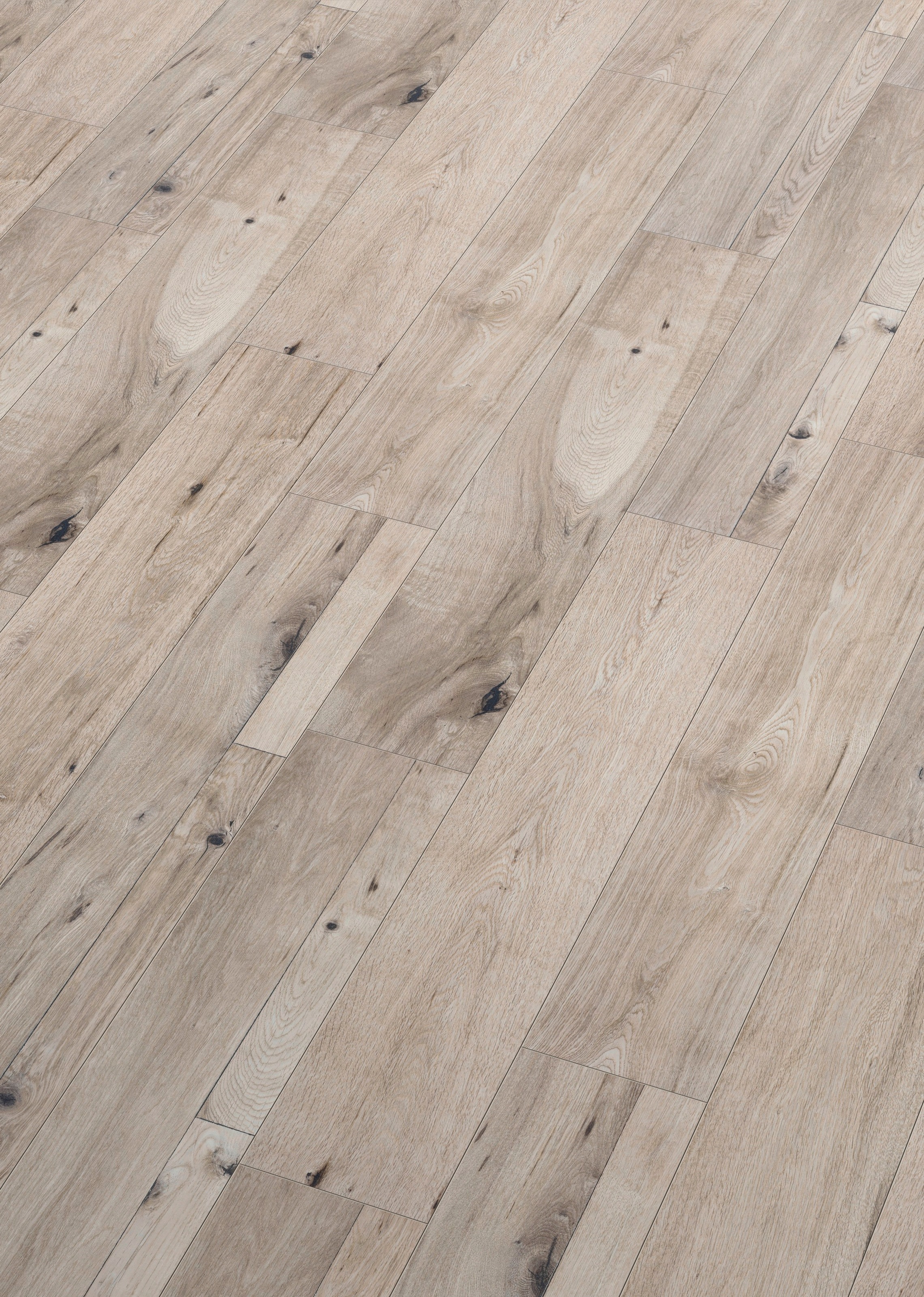 Image of ter Hürne Laminat »Eiche horizontgrau«, mit fühlbarer Oberfläche und Klicksystem bei Ackermann Versand Schweiz