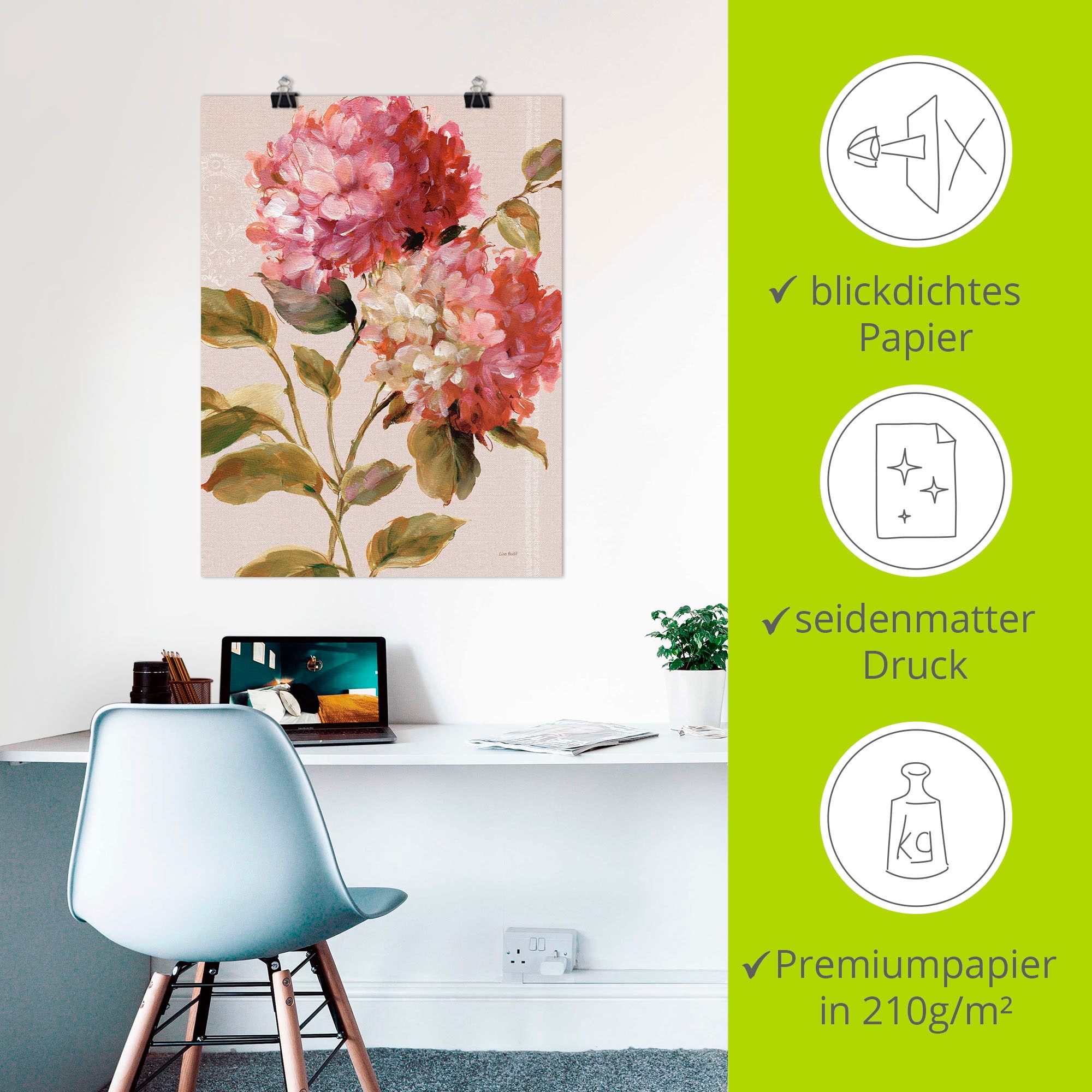 Artland Wandbild »Harmonische Hortensien«, Blumen, (1 St.), als Leinwandbild, Poster in verschied. Grössen