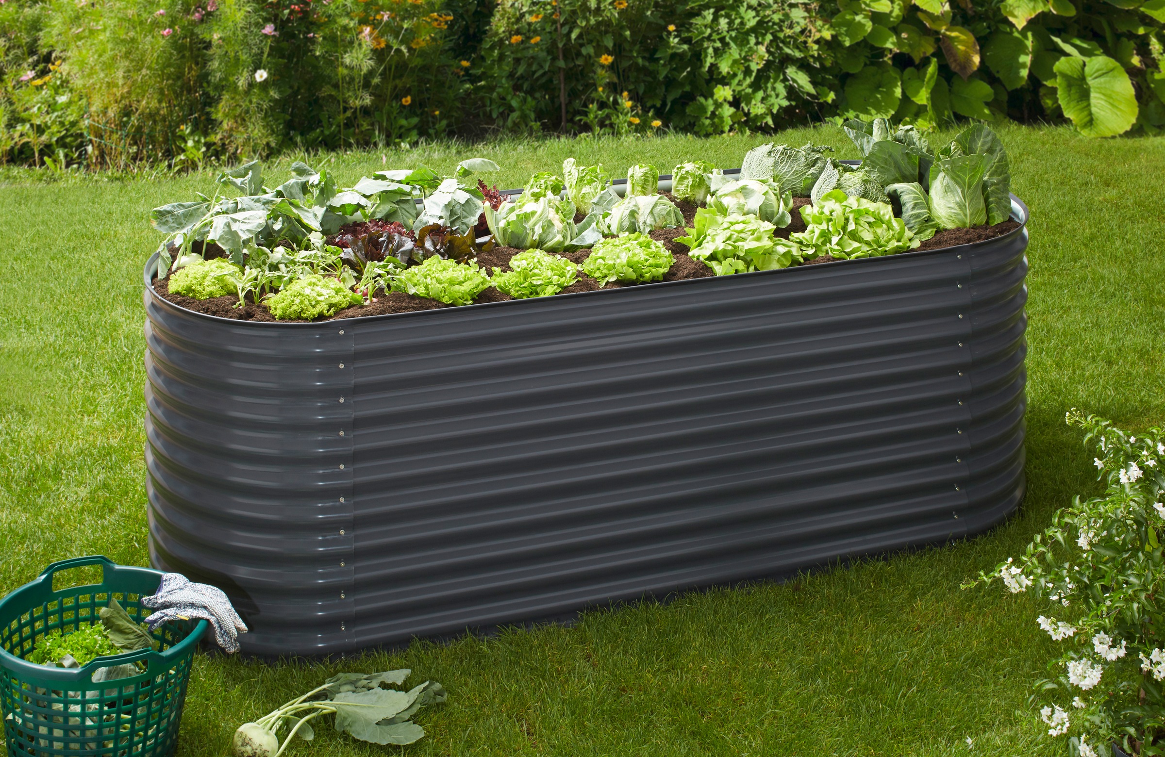 Image of KONIFERA Hochbeet, BxTxH: 240x80x82 cm bei Ackermann Versand Schweiz