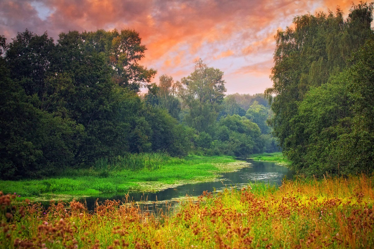 Image of Papermoon Fototapete »Sunset River«, Vliestapete, hochwertiger Digitaldruck bei Ackermann Versand Schweiz