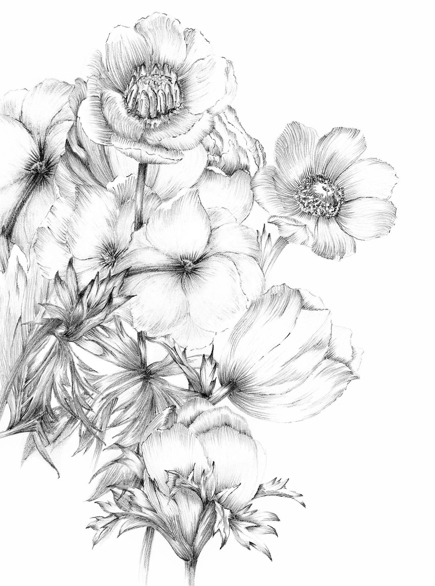 Image of Komar Fototapete »Embroidery«, bedruckt-floral-botanisch bei Ackermann Versand Schweiz