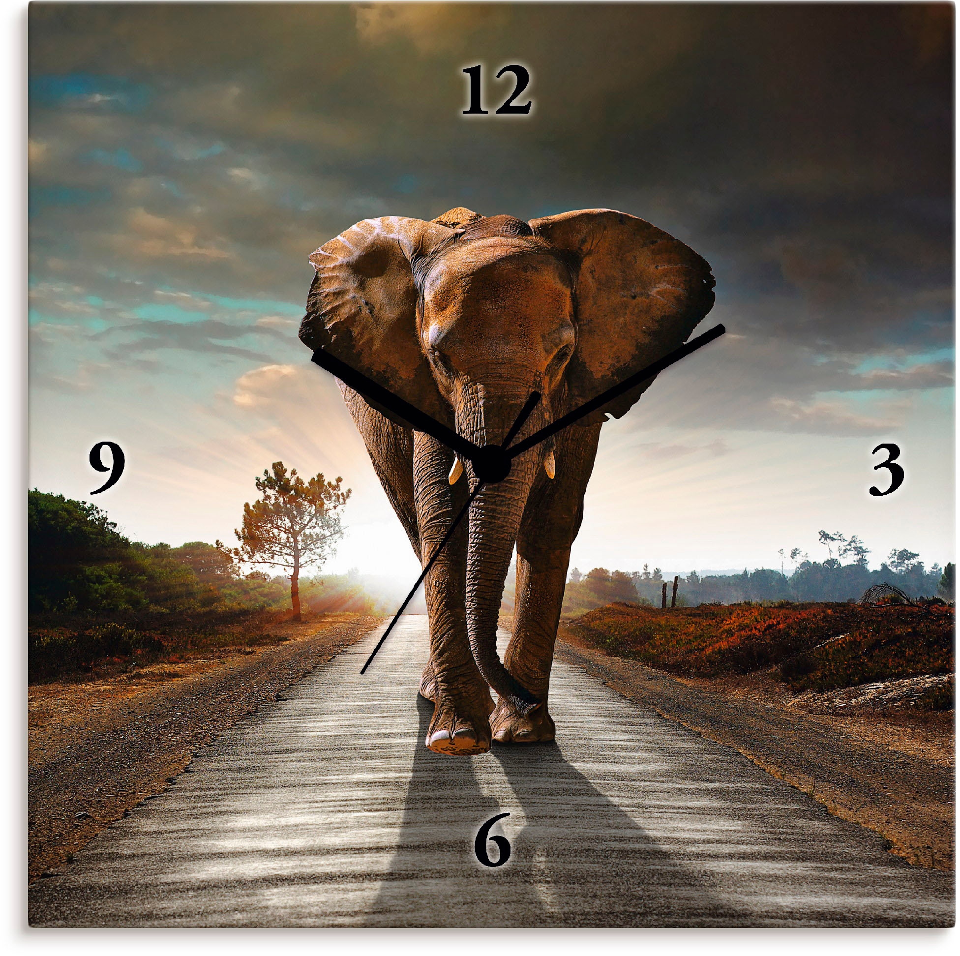 Artland Wanduhr »Ein Elefant läuft auf der Strasse«, wahlweise mit Quarz-  oder Funhuhrwerk, lautlos ohne Tickgeräusche jetzt kaufen