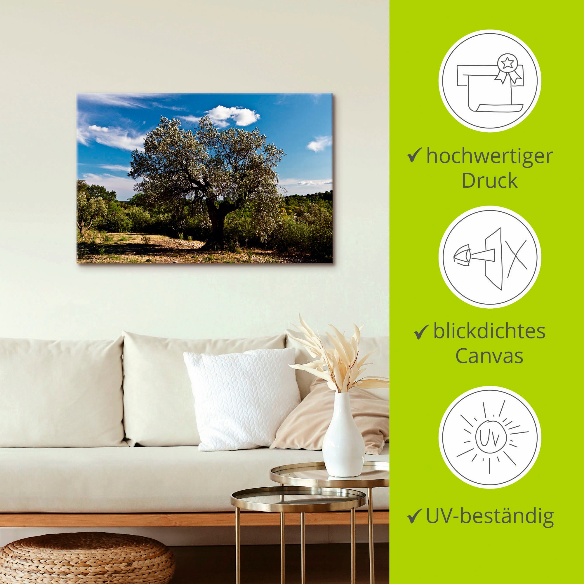 Artland Wandbild »Olivenbaum in Südfrankreich«, Bäume, (1 St.), als Alubild, Outdoorbild, Leinwandbild, Poster in verschied. Grössen