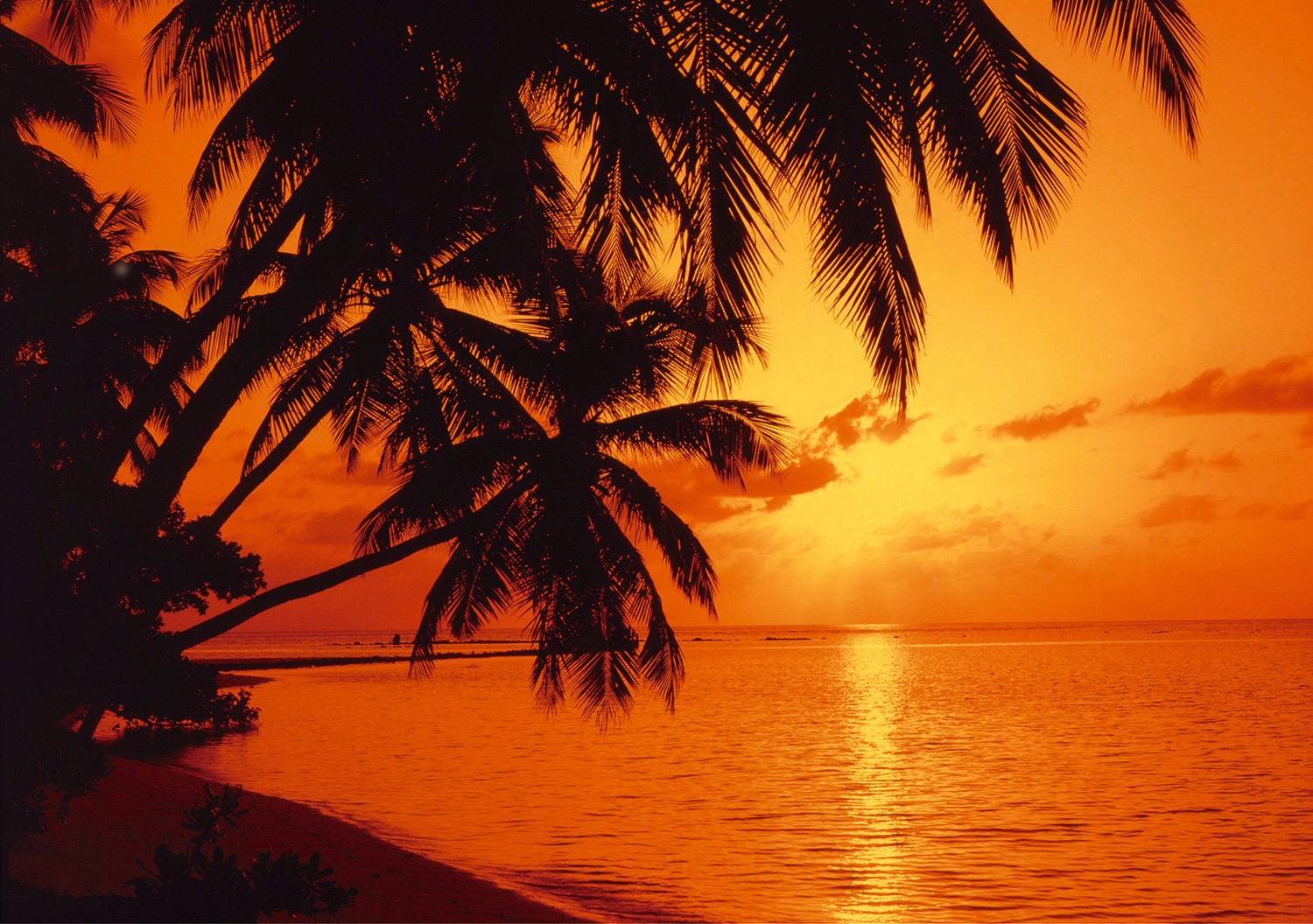 Image of Papermoon Fototapete »Tropic Sunset« bei Ackermann Versand Schweiz