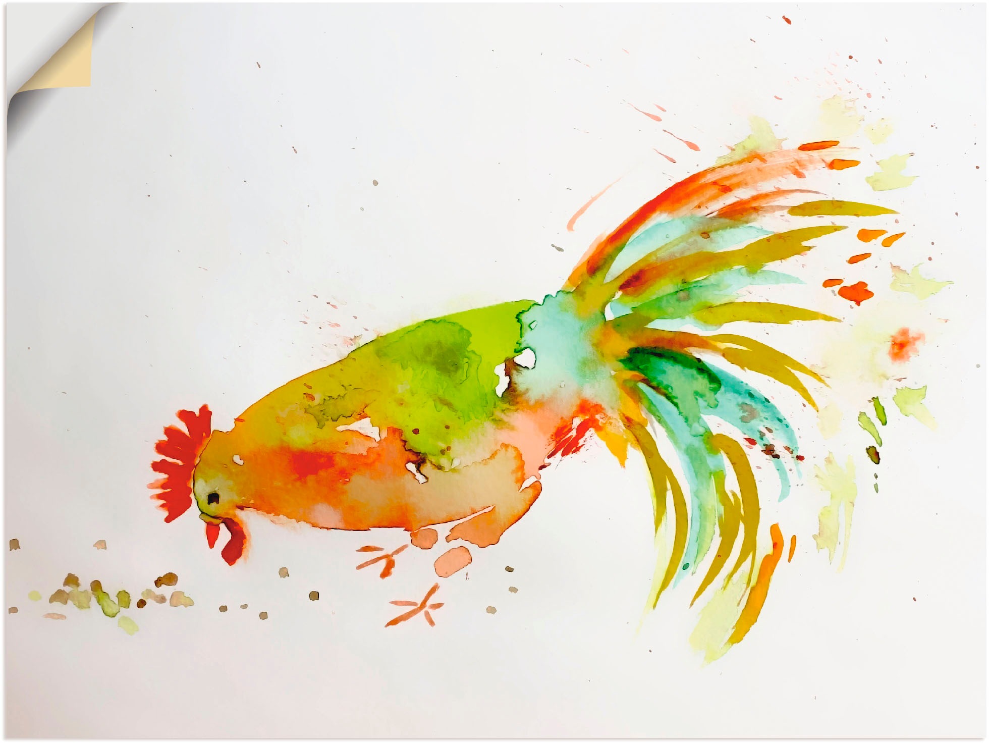 Image of Artland Wandbild »Hahn«, Vögel, (1 St.), in vielen Grössen & Produktarten -Leinwandbild, Poster, Wandaufkleber / Wandtattoo auch für Badezimmer geeignet bei Ackermann Versand Schweiz