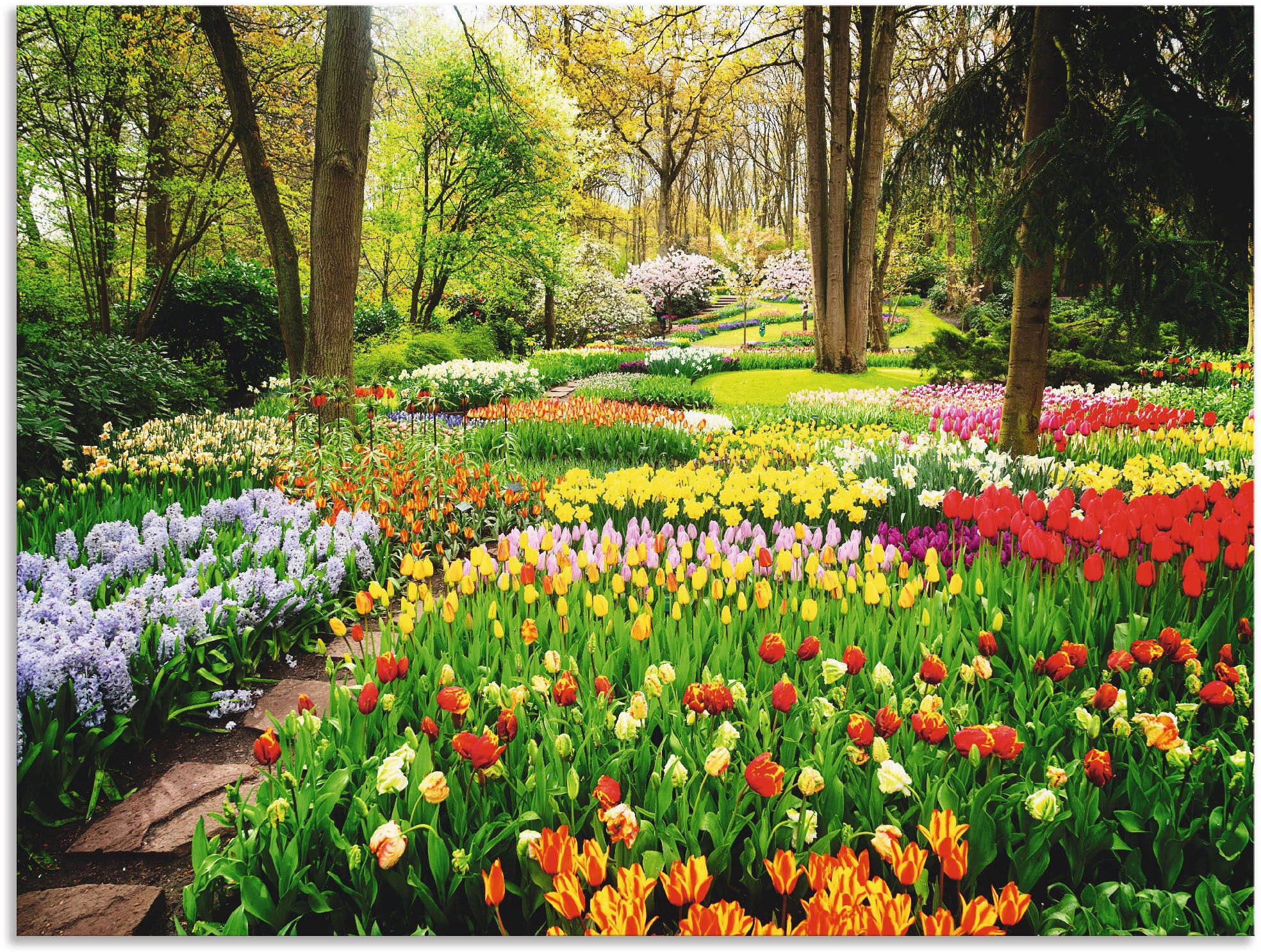 Artland Wandbild confortablement acheter »Tulpen Garten Blumenwiese, Frühling«, (1 St.)