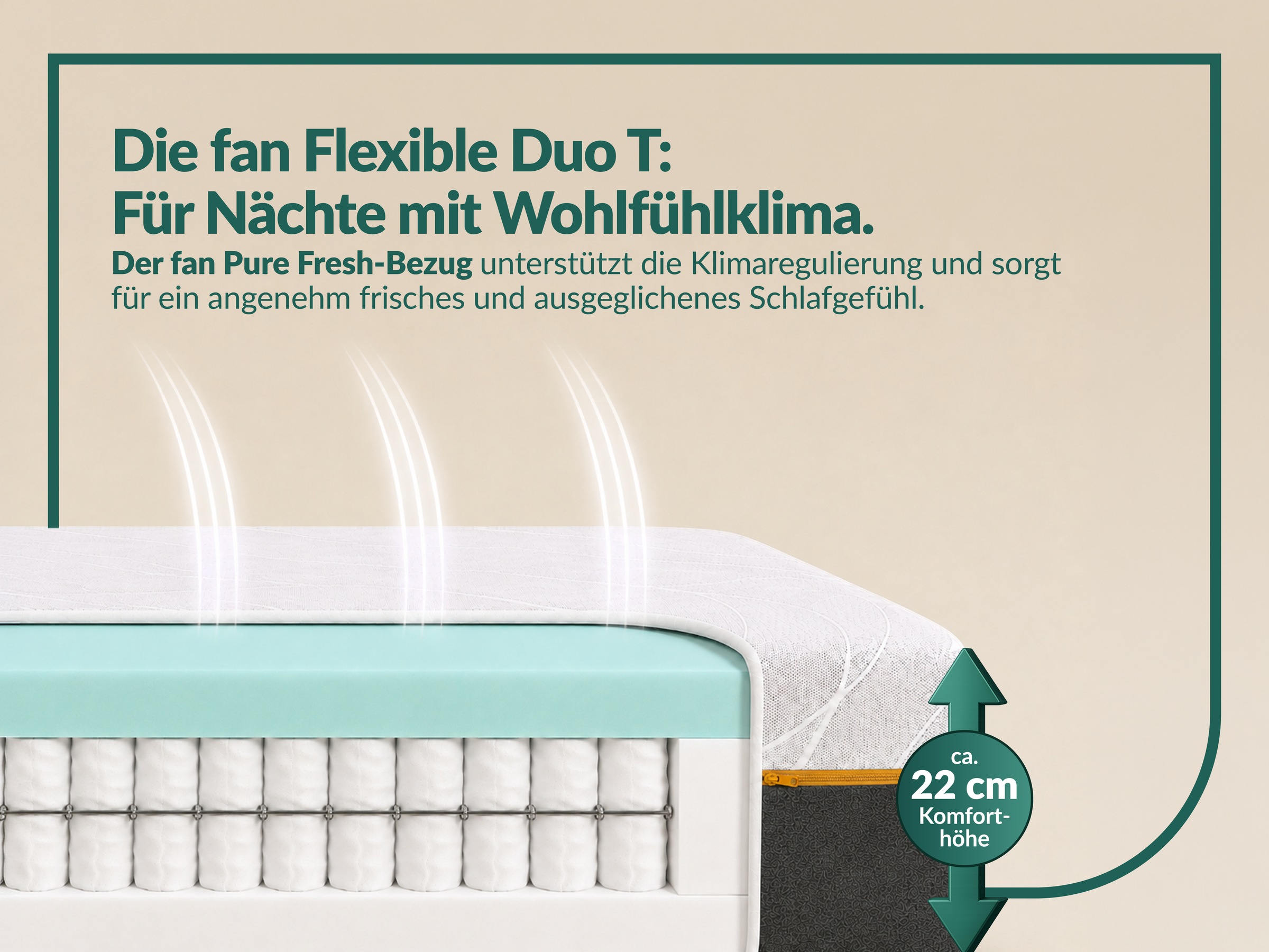 fan Matelas à ressorts ensachés »fan Flexible Duo T, Matratze 90x200 cm, 140x200 cm & mehr, in H2/H3« 22 cm hoch 1.034 Federn 1 cuis tlg. Matelas réversible avec housse Pure Fresh, 1034 ressorts (pour 100 x 200 cm)
