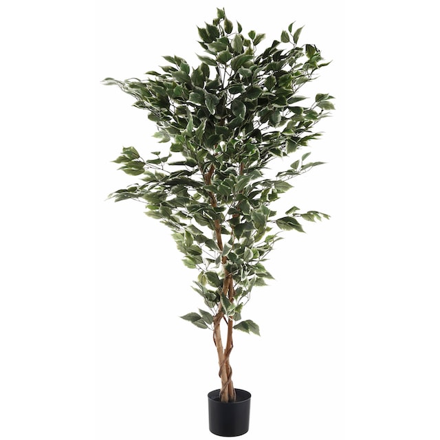 Creativ green Kunstpflanze »Ficus Benjamini« bequem kaufen