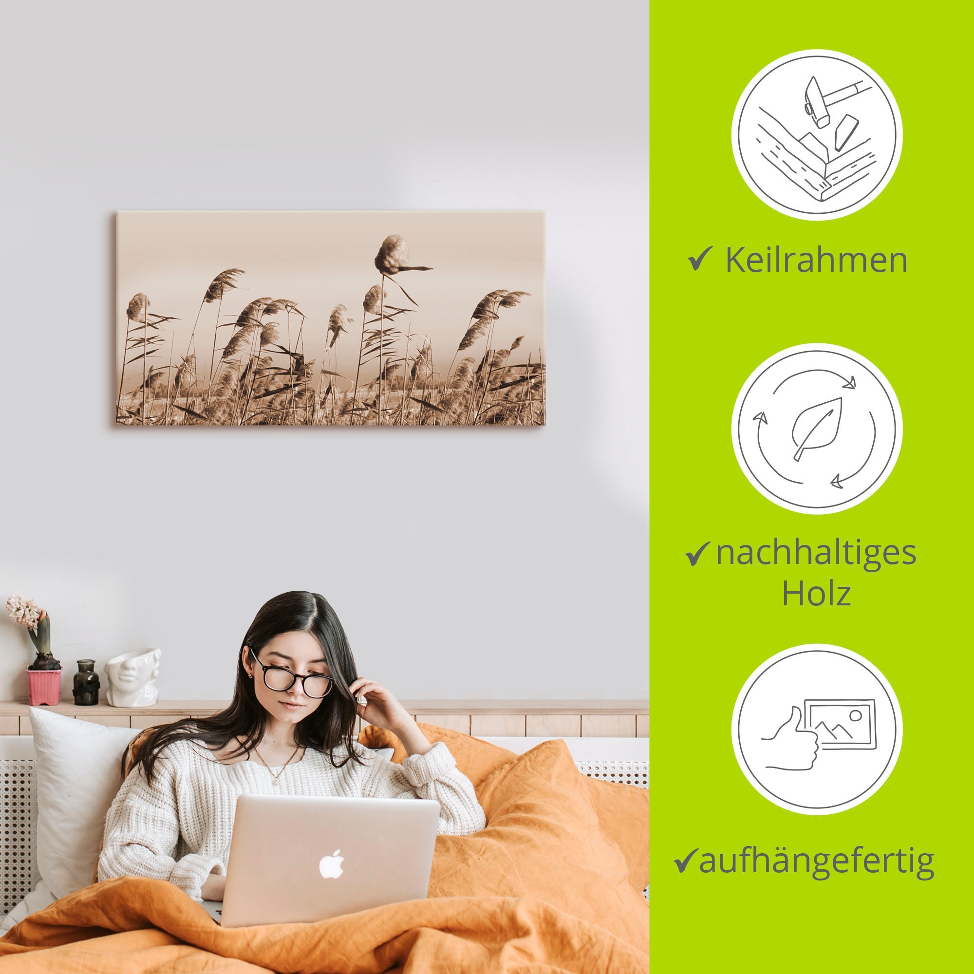 Artland Tableau sur toile »Gräser« 1 cuis tlg. auf Holzrahmen gespannt