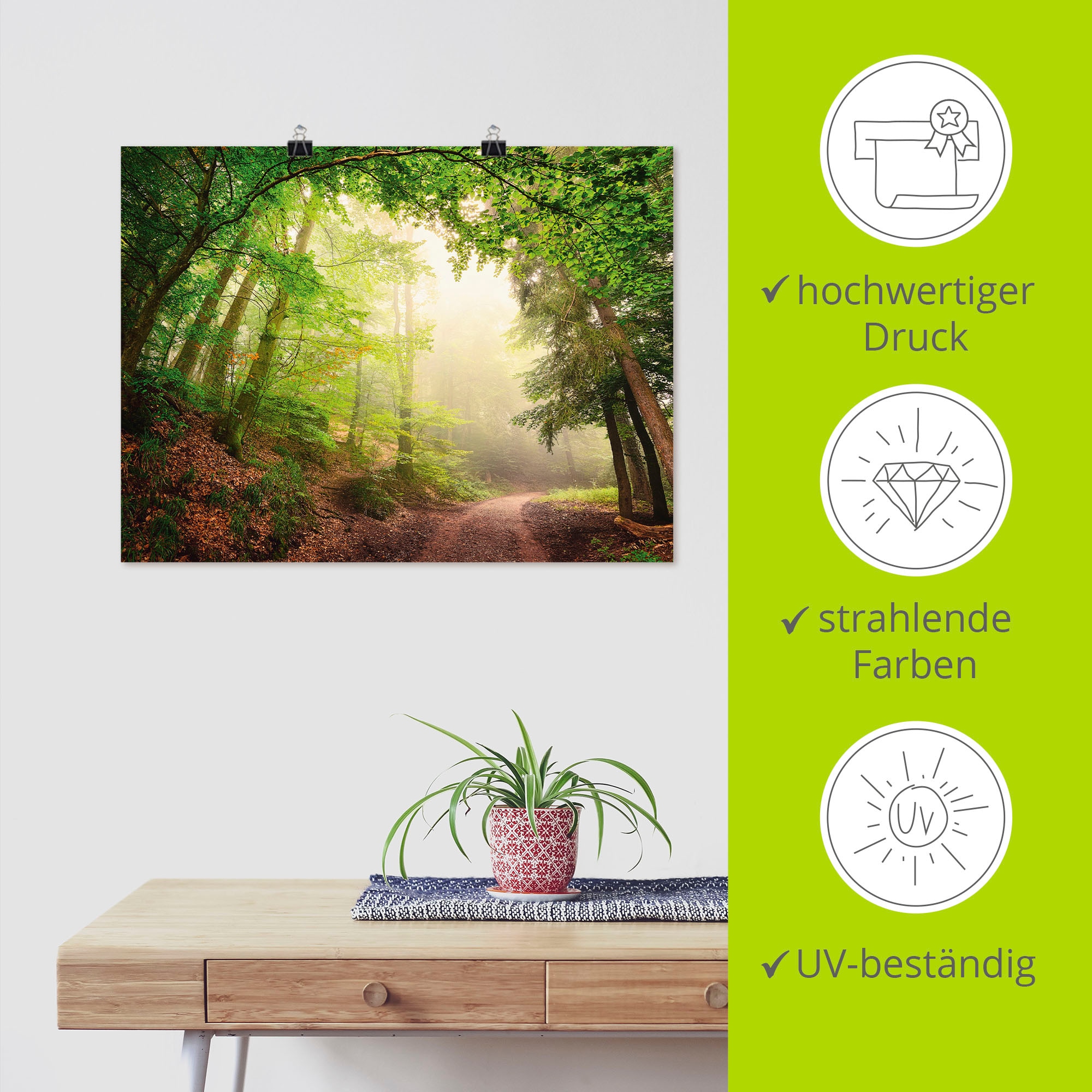 Artland Wandbild »Natürliche Torbögen durch Bäume« Wald 1 Stk. tlg. als Alubild, Poster in verschied. Grössen