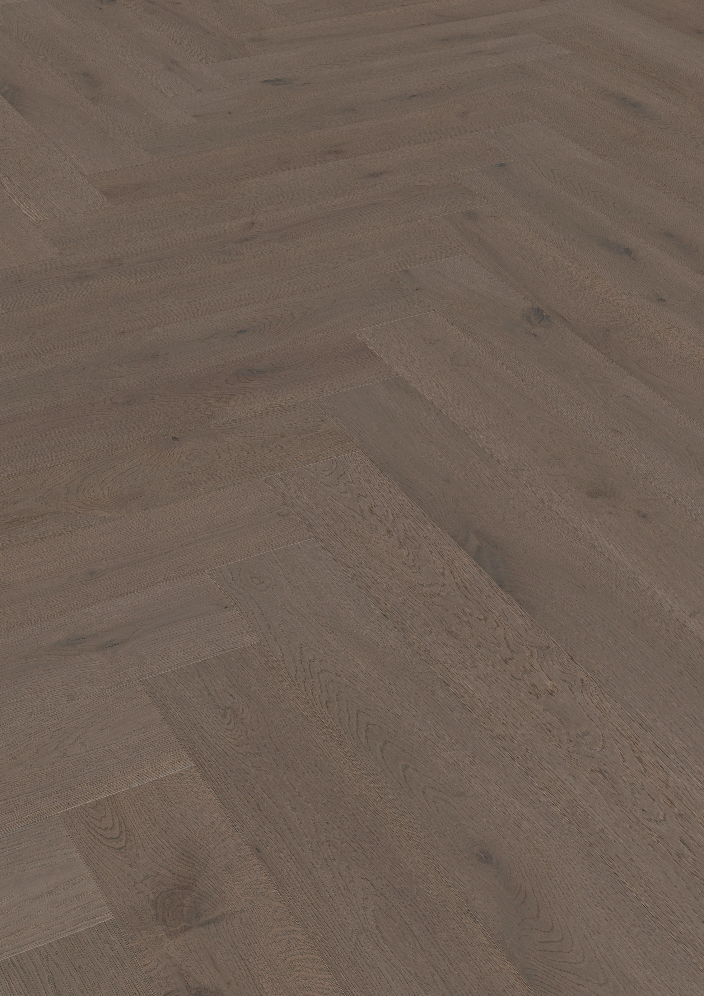 Image of ter Hürne Parkett »Eiche basaltbraun«, mit fühlbarer Oberfläche bei Ackermann Versand Schweiz