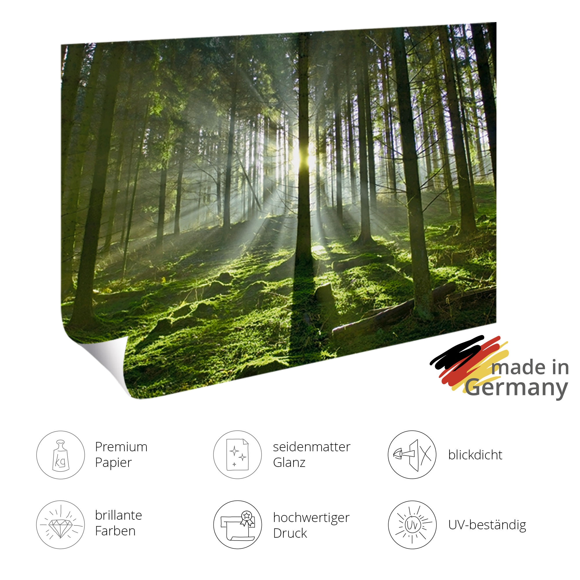 GOODproduct Wandbild »Strand von oben II« Meer Bilder 1 Stk. tlg. als Poster oder Leinwandbild in verschied. Grössen