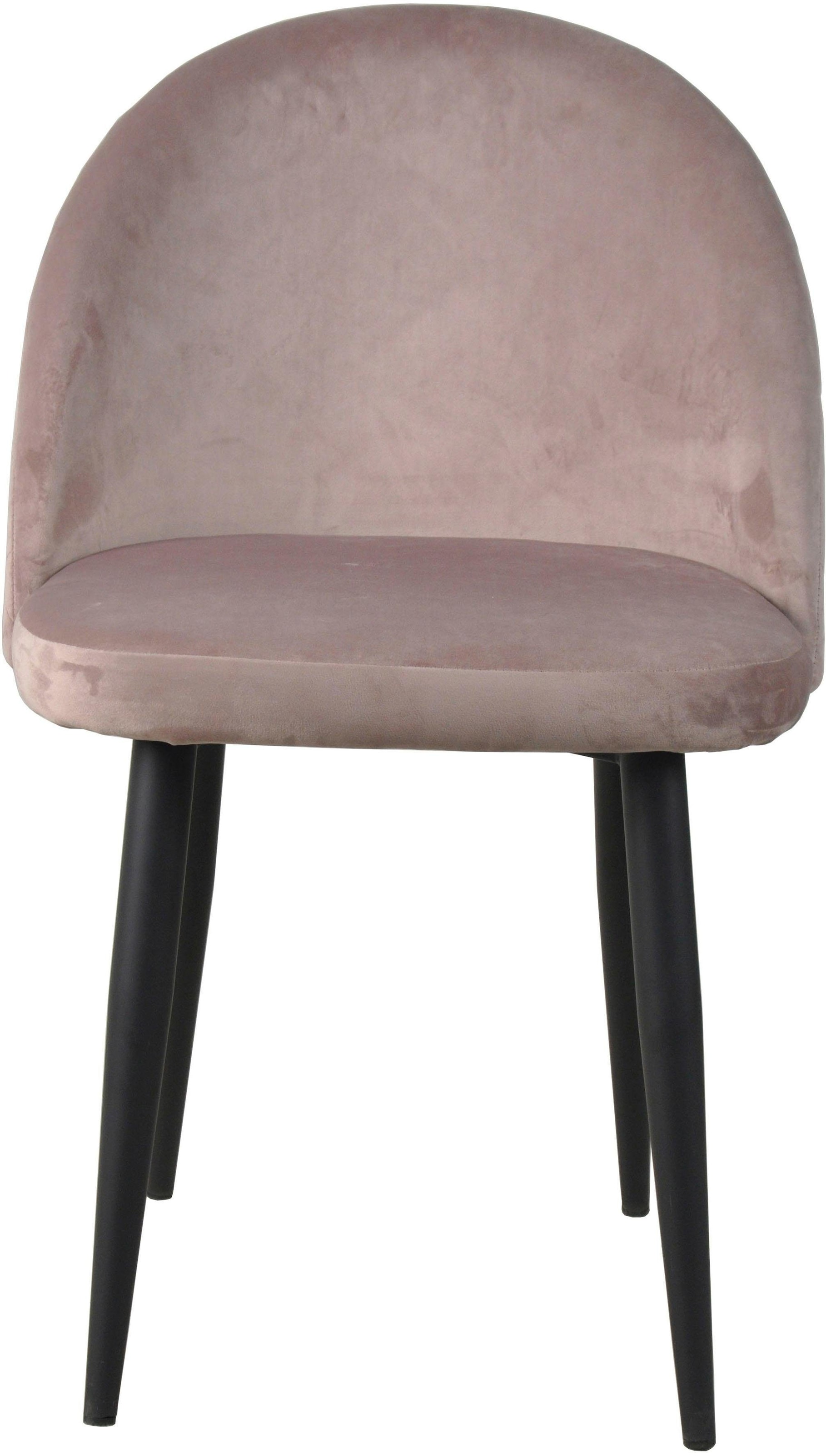 SIT Chaise rembourrée »2er Set Samt Altrosa Stahlgestell Schwarz« (Ensemble) 2 cuisRevêtement en velours noble vieux rose avec piqûres carreaux modernes
