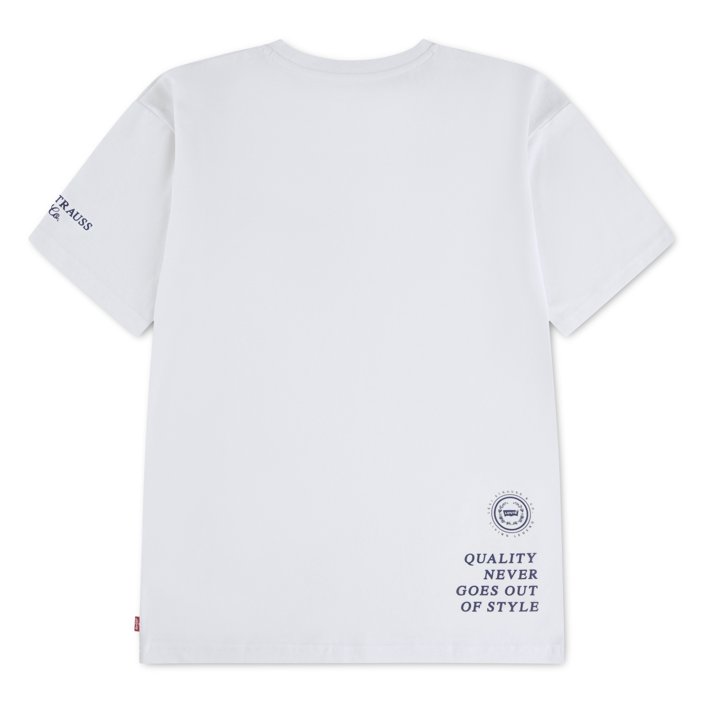 Levi's® Kids T-shirt »LVB URBAN PREP TEE« for Boys, mit Stickerei und Print