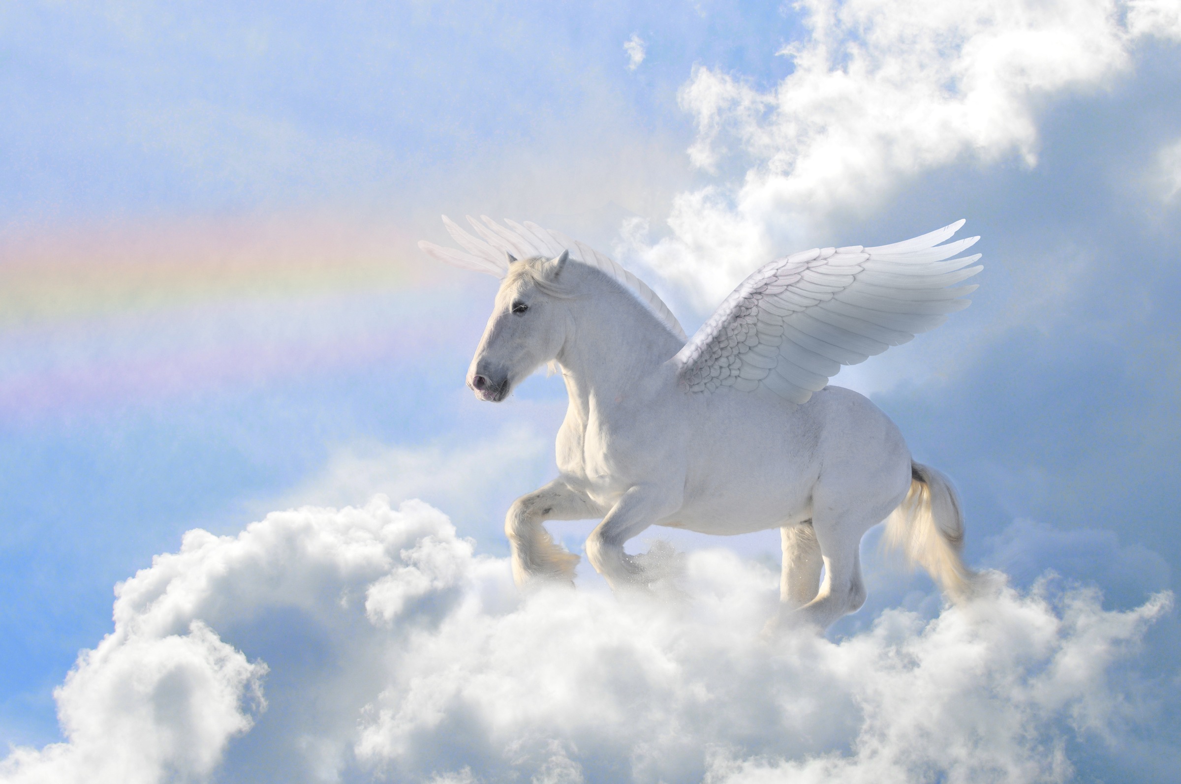 Image of Papermoon Fototapete »Pegasus in the Clouds« bei Ackermann Versand Schweiz