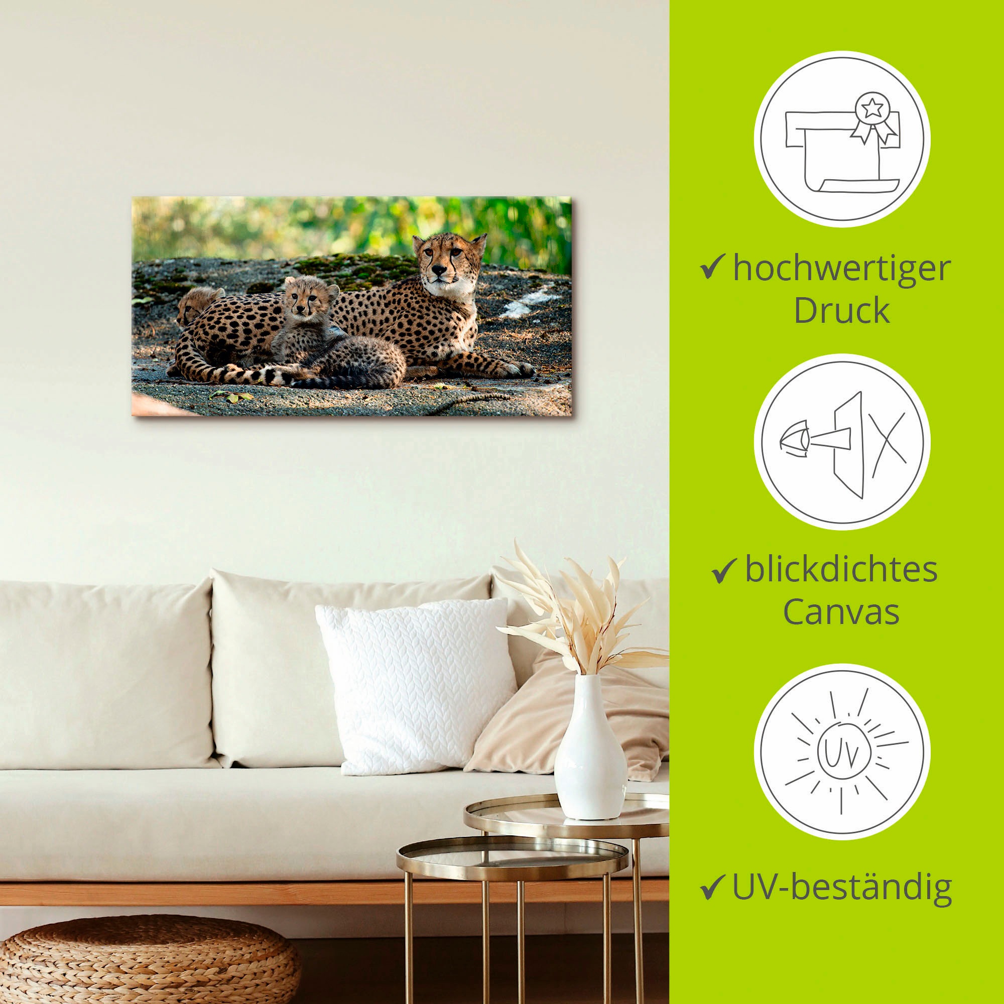 Artland Wandbild »Gepard 2«, Wildtiere, (1 St.), als Leinwandbild, Poster, Wandaufkleber in verschied. Grössen