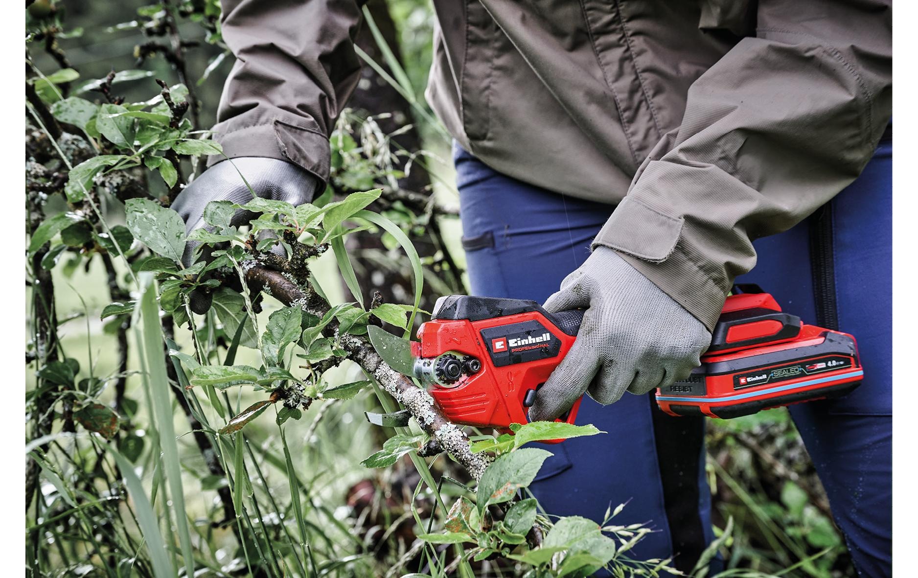 Einhell Akku-Astschere "GP-LS 18/28 Li T BL (1 x 2.5Ah SK)" ()