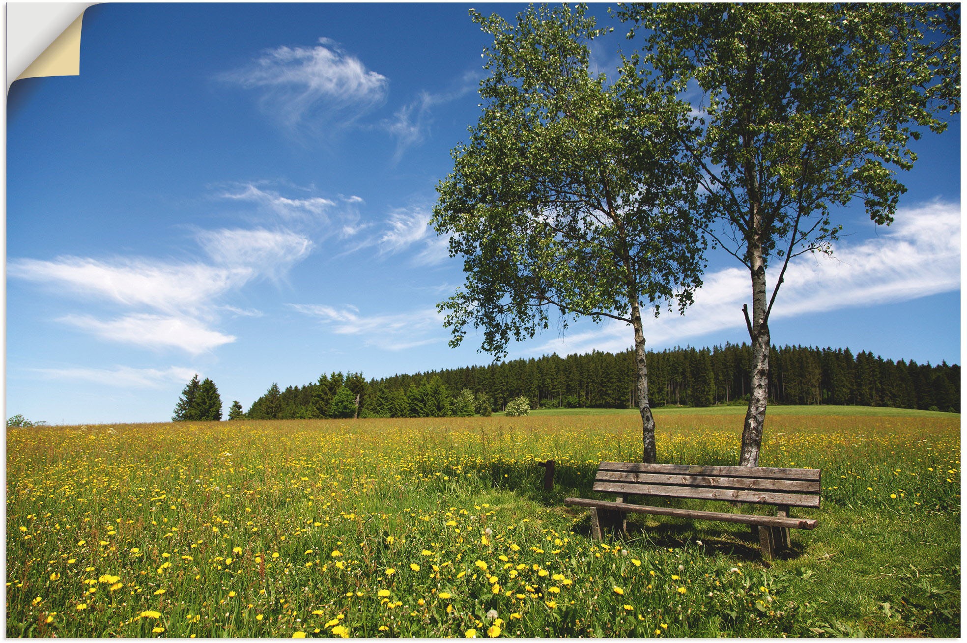 Image of Artland Wandbild »Einsame Bank auf einer Löwenzahnwiese«, Felder, (1 St.), in vielen Grössen & Produktarten - Alubild / Outdoorbild für den Aussenbereich, Leinwandbild, Poster, Wandaufkleber / Wandtattoo auch für Badezimmer geeignet bei Ackermann Versand 