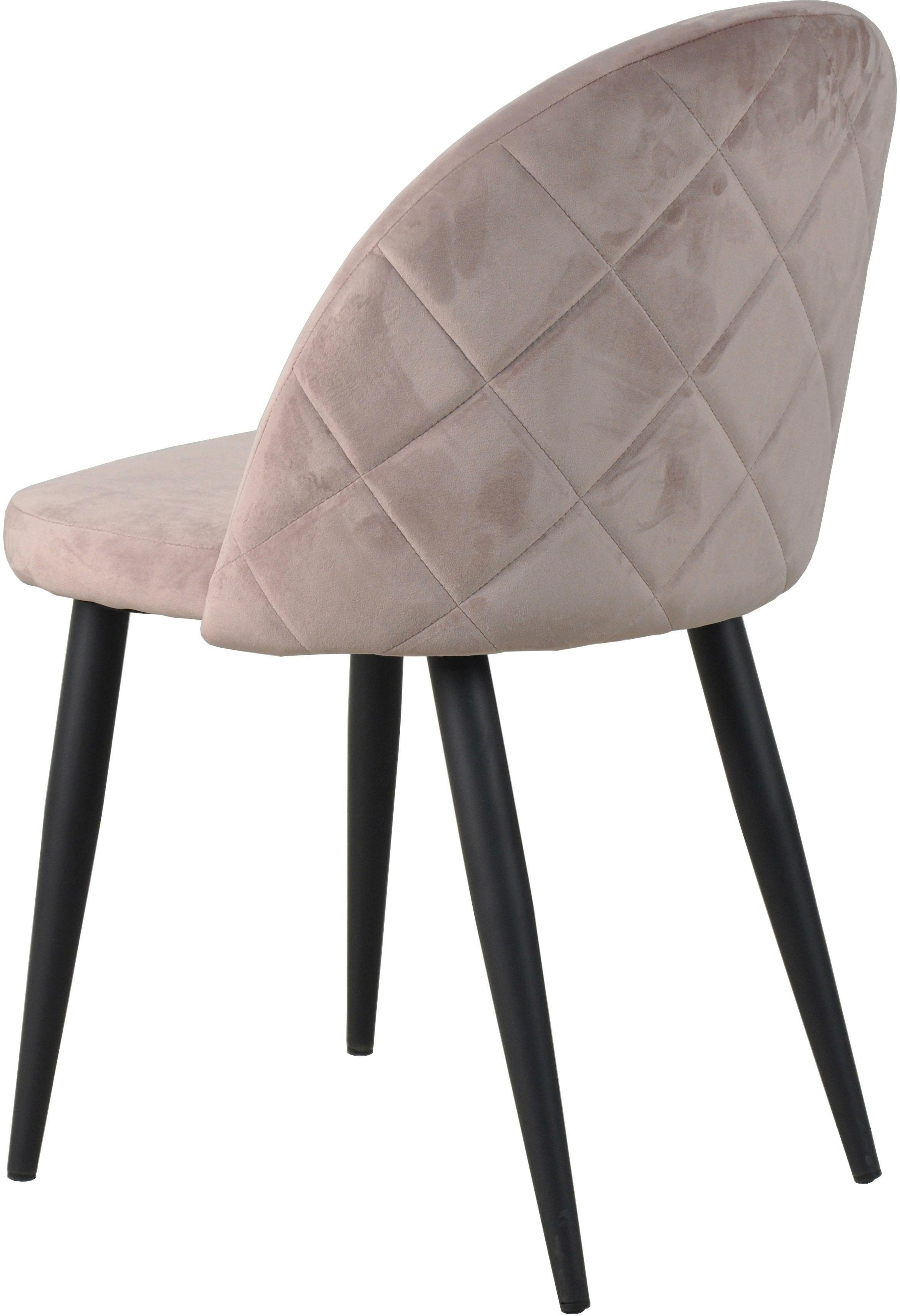 SIT Chaise rembourrée »2er Set Samt Altrosa Stahlgestell Schwarz« (Ensemble) 2 cuisRevêtement en velours noble vieux rose avec piqûres carreaux modernes