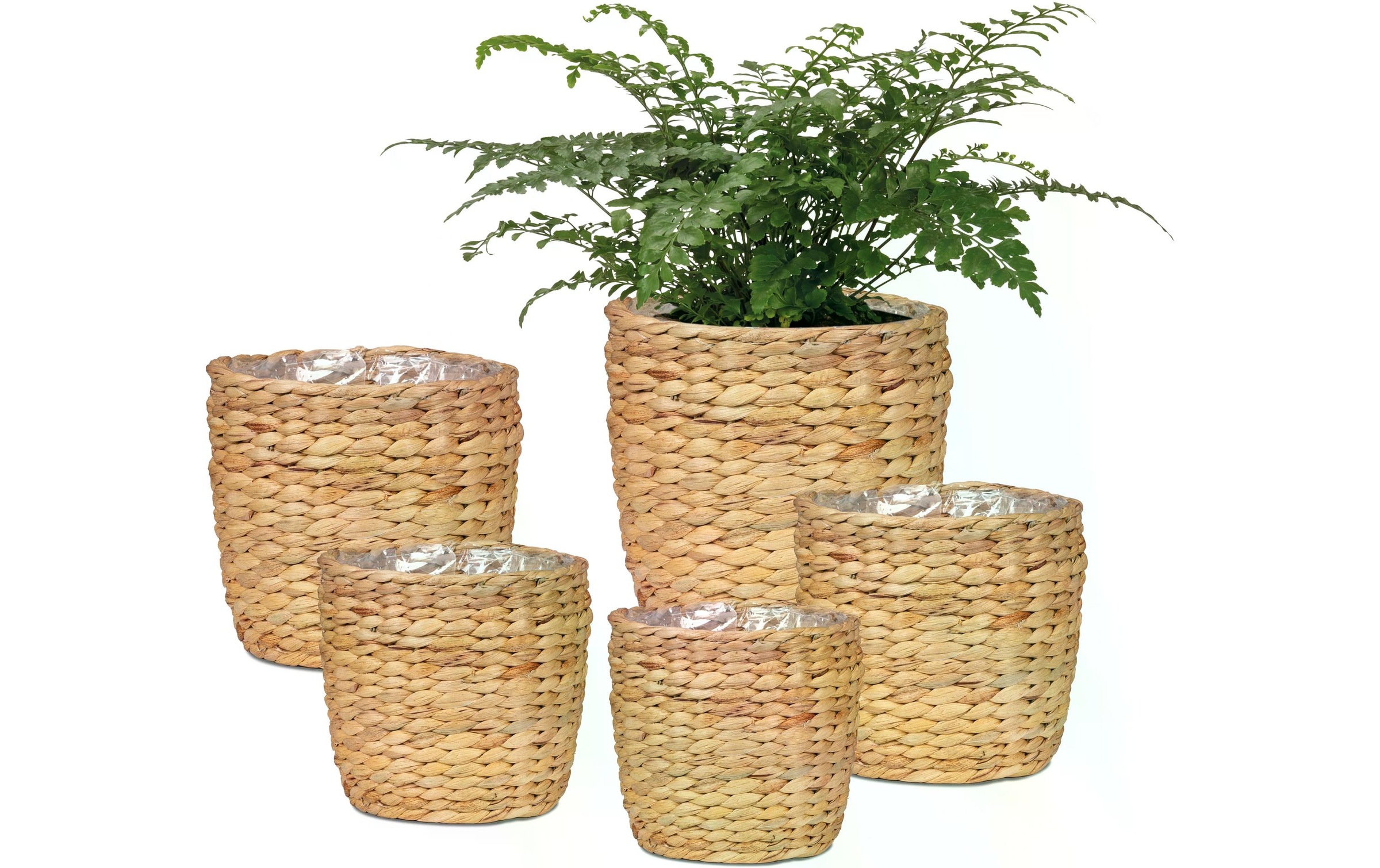 Scheurich Blumentopf
