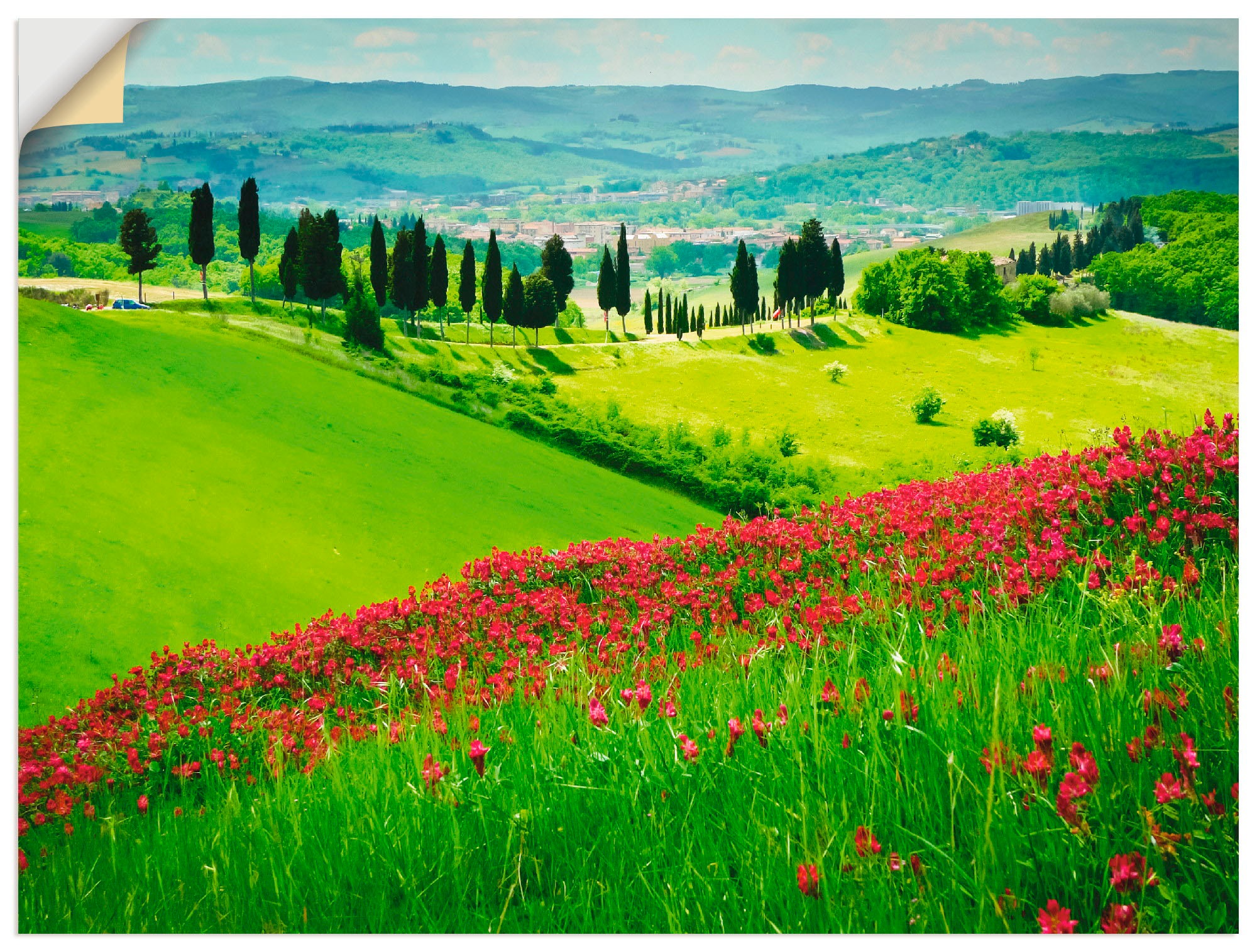 Image of Artland Wandbild »Hügel und Zypressen«, Felder, (1 St.), in vielen Grössen & Produktarten - Alubild / Outdoorbild für den Aussenbereich, Leinwandbild, Poster, Wandaufkleber / Wandtattoo auch für Badezimmer geeignet bei Ackermann Versand Schweiz