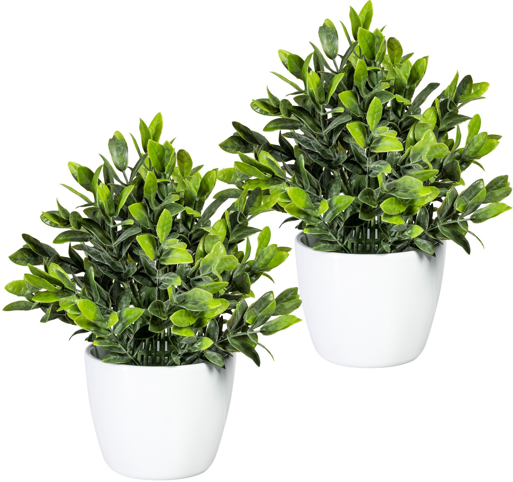 Image of my home Kunstpflanze »Josefin«, (2 St.), im Topf, 2er Set bei Ackermann Versand Schweiz