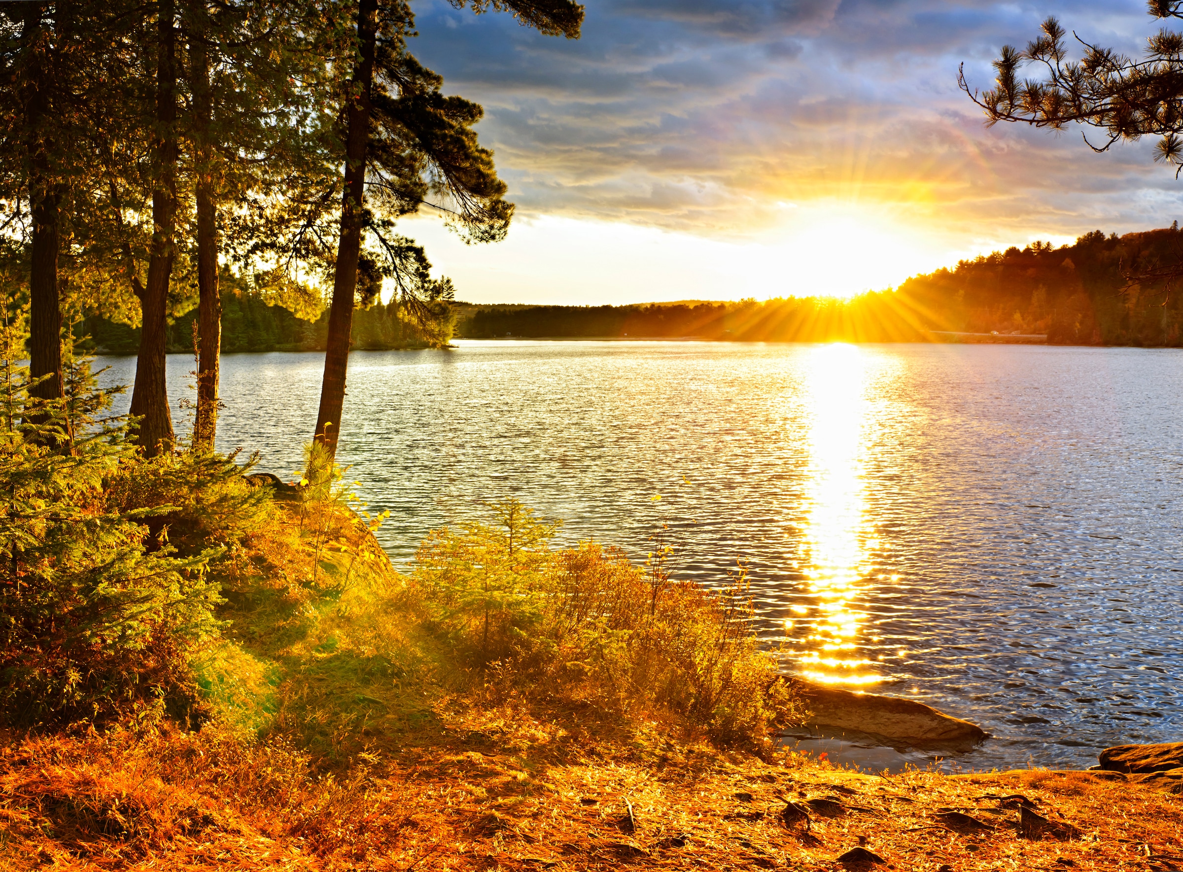 Image of Papermoon Fototapete "Algonquin Park Lake" glatt