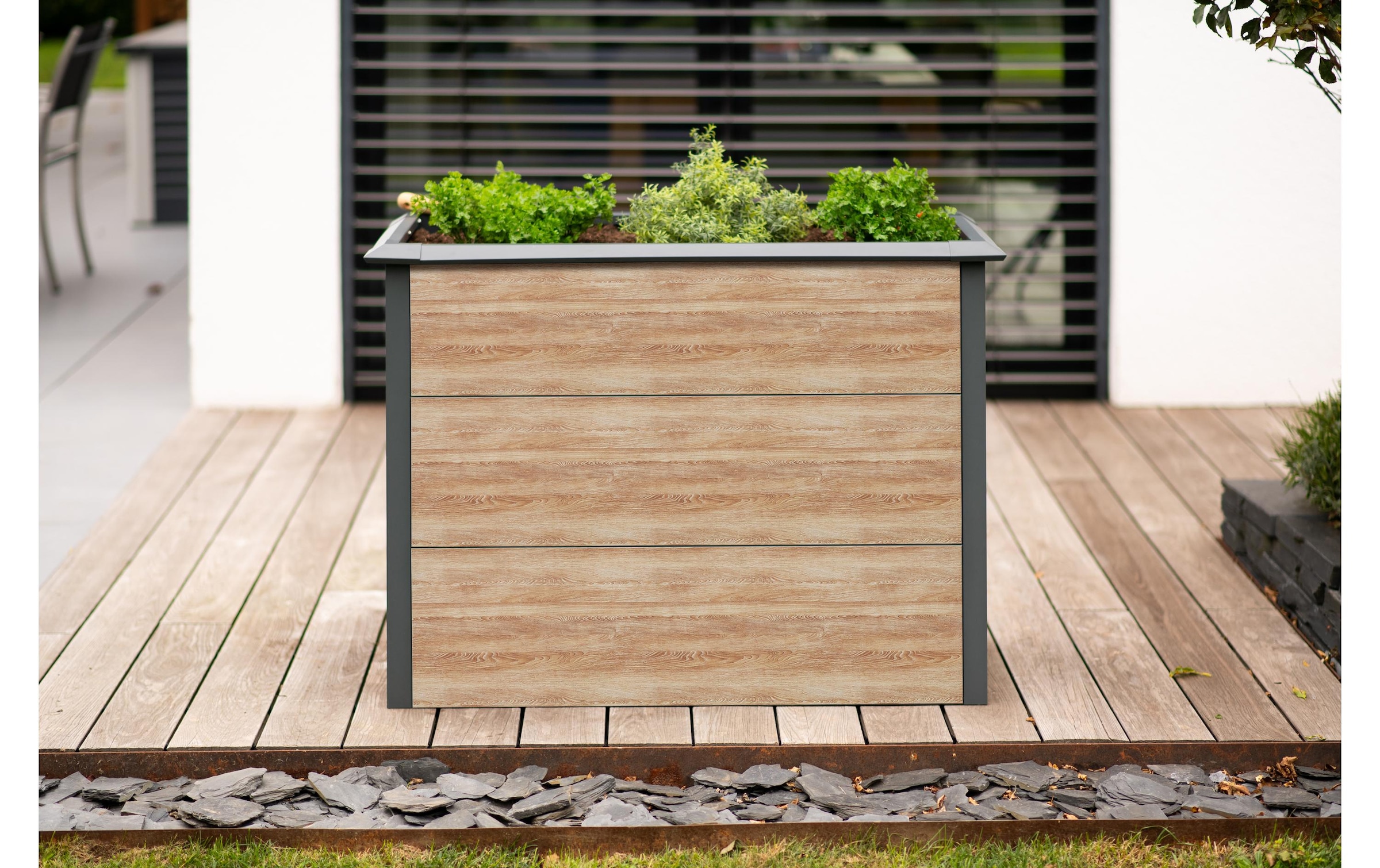 WESTMANN Hochbeet »Metall Hochbeet »Primus-Multi M«« Inkl. Schneckenschutz, BxTxH: 100x50x77 cm
