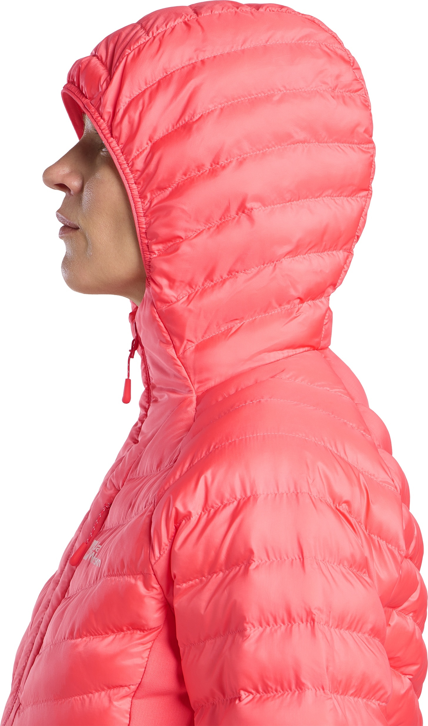 Jack Wolfskin Funktionsjacke »ROUTEBURN PRO INS JKT W« mit Kapuze