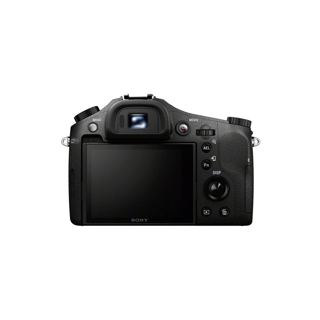 Sony Bridge-Kamera »DSC-RX10«