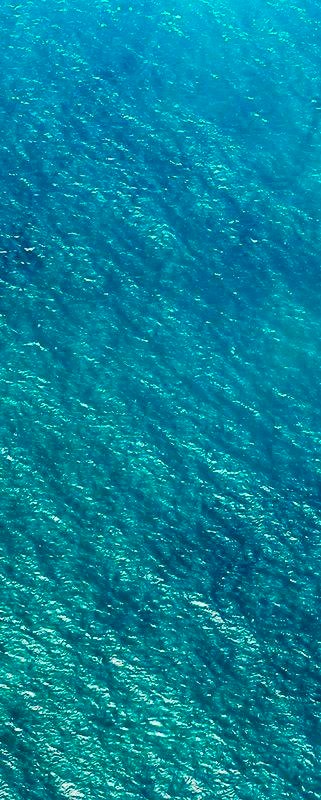 Image of Komar Vliestapete »Blaupause Pane«, naturalistisch bei Ackermann Versand Schweiz