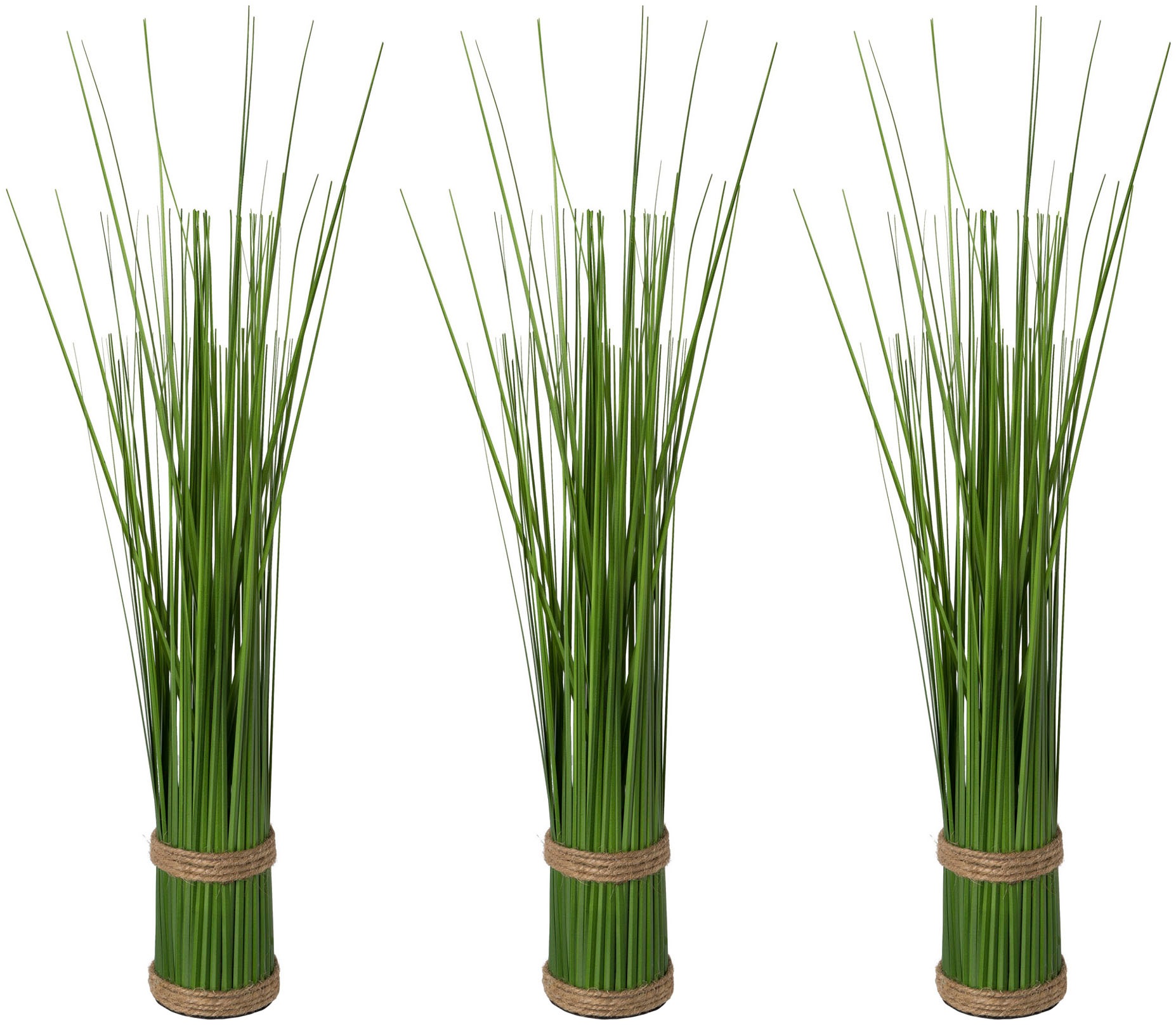 Image of Creativ green Kunstgras »Stehgrasbündel«, (Set, 3 St.) bei Ackermann Versand Schweiz