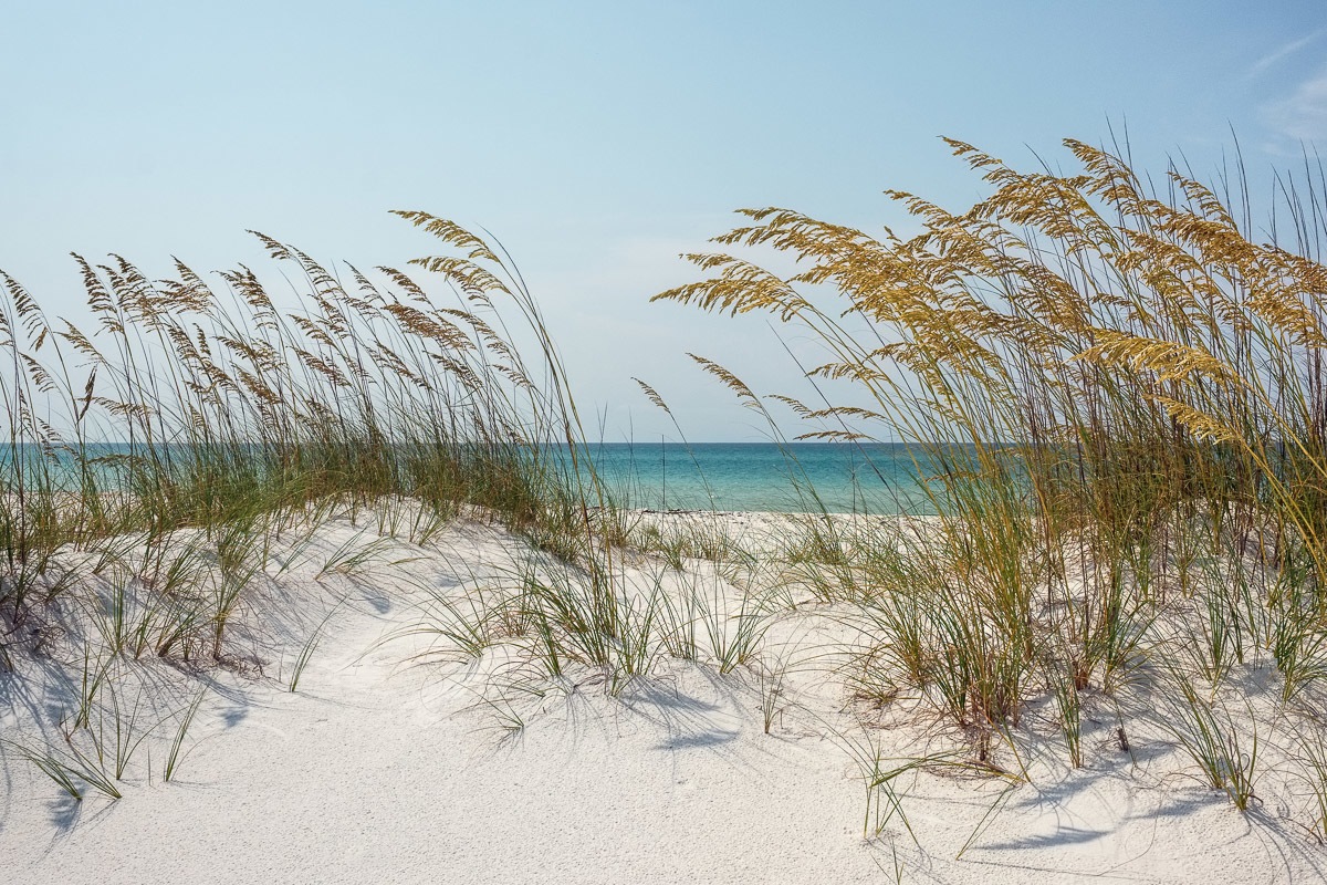 Image of Papermoon Fototapete »Ocean Beach Dunes«, Vliestapete, hochwertiger Digitaldruck bei Ackermann Versand Schweiz