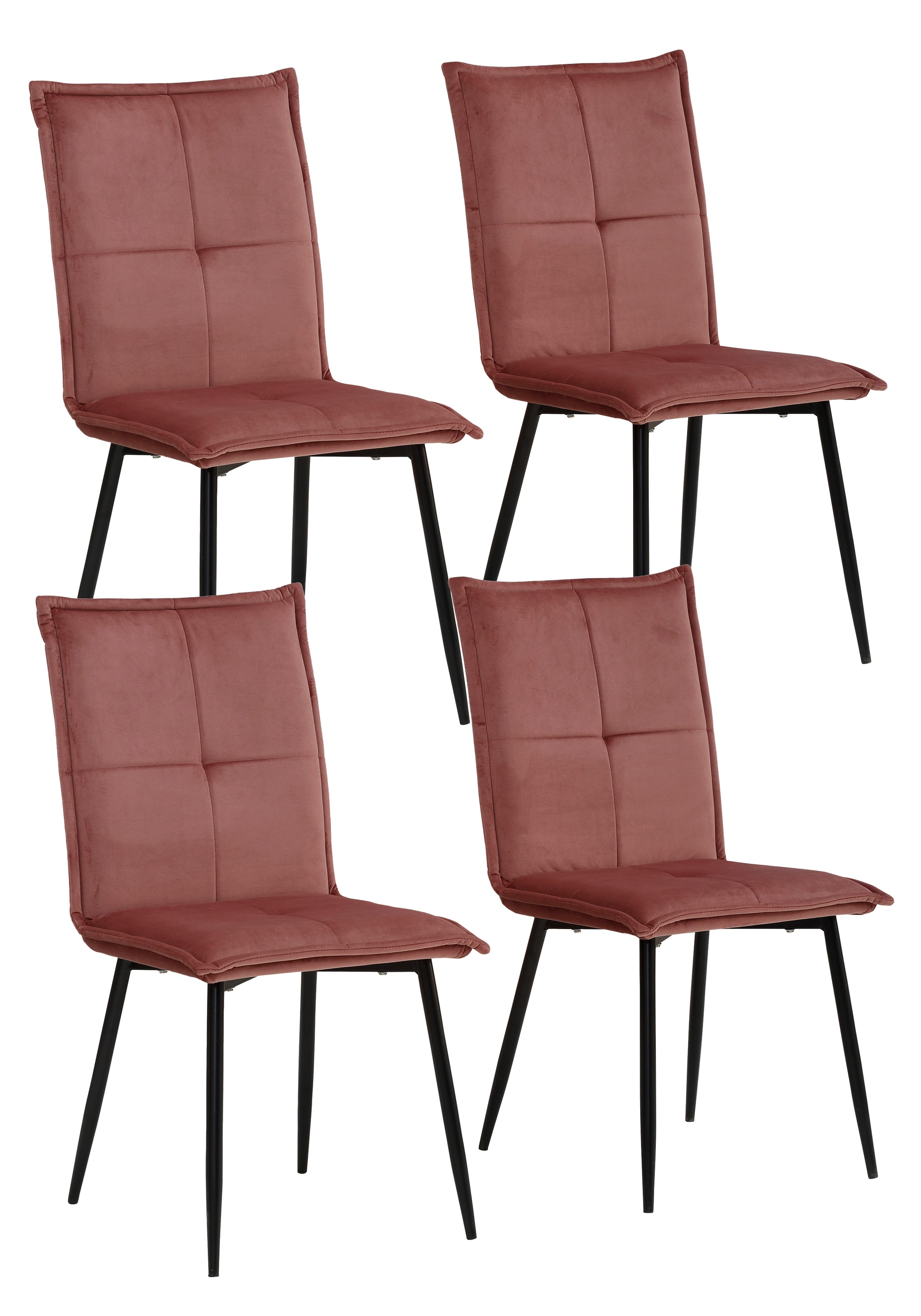Image of my home Esszimmerstuhl »Meila«, (Set), 4 St., Samtvelours, mit einem schönen pflegeleichtem Samtvelours Bezug und schwarzen Metallbeinen bei Ackermann Versand Schweiz