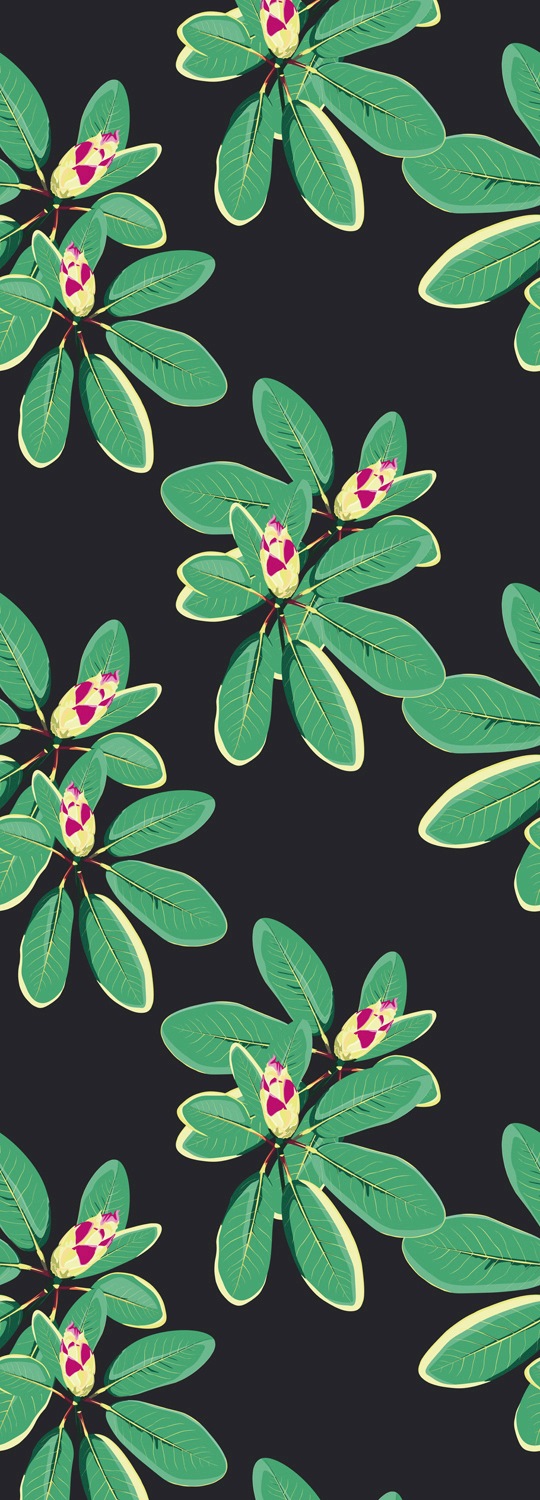 Image of queence Vinyltapete "Amara" Motiv bedruckt botanisch floral gemustert natürlich glatt 90x250cm, selbstklebend, kinderleichte Anbringung, Sticker