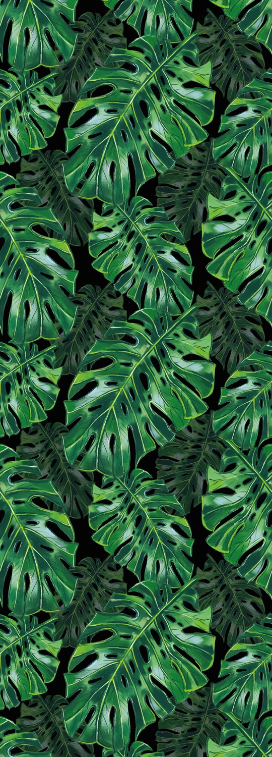 Image of queence Vinyltapete "Sienna" Motiv bedruckt botanisch floral gemustert natürlich glatt 90x250cm, selbstklebend, kinderleichte Anbringung, Sticker