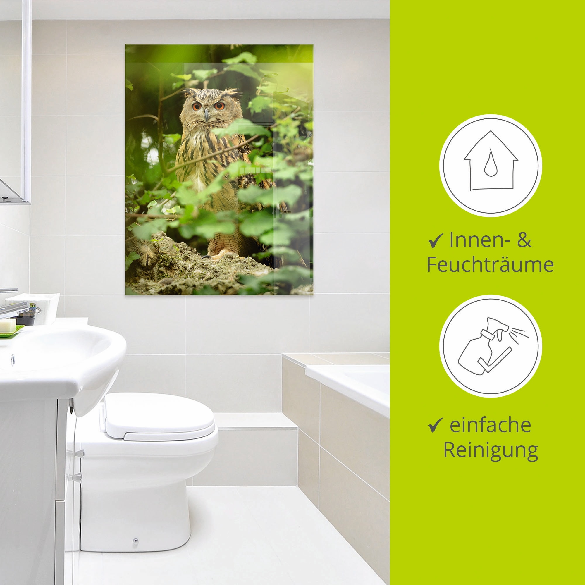 Artland Glasbild »Vogel Uhu« Vögel 1 Stk. tlg. in verschiedenen Grössen