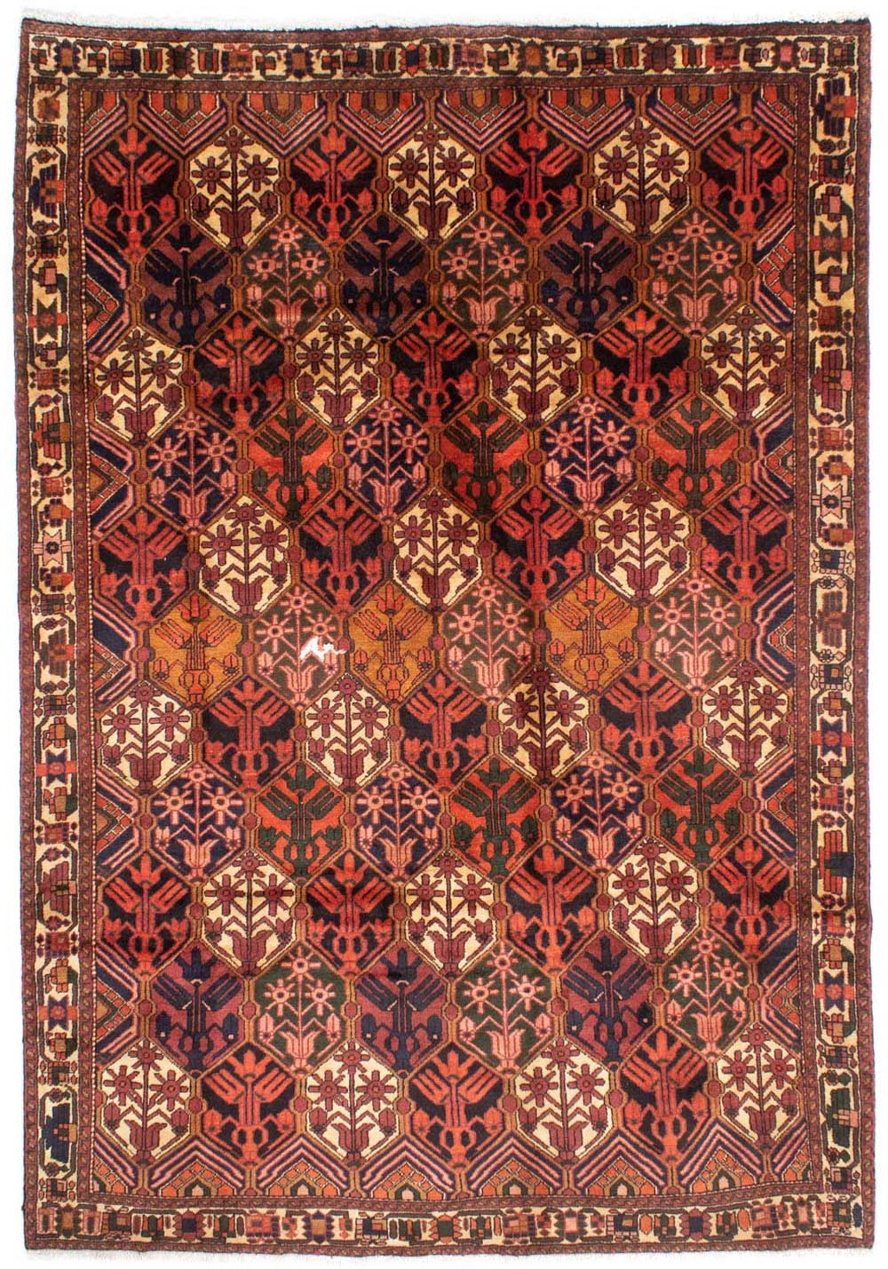 Image of morgenland Wollteppich »Bachtiar Durchgemustert Rosso chiaro 288 x 210 cm«, rechteckig, 1 mm Höhe, Unikat mit Zertifikat bei Ackermann Versand Schweiz