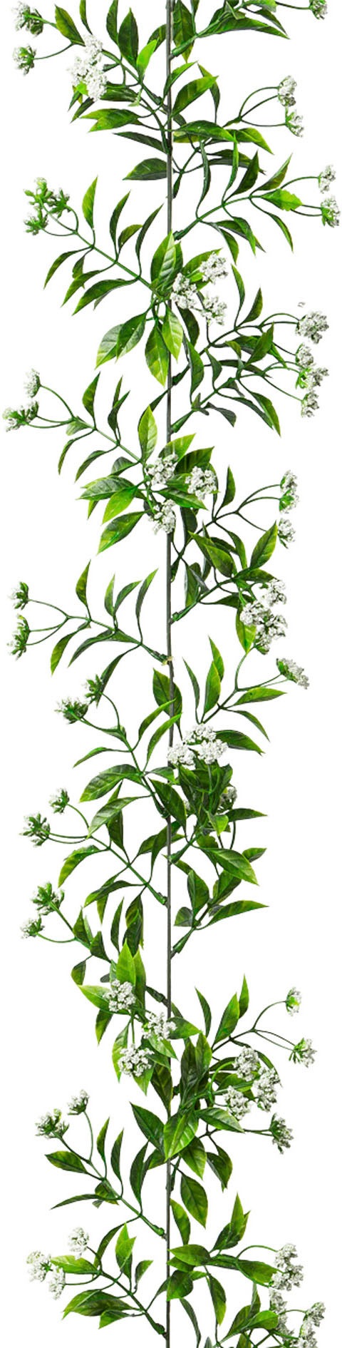 Image of Creativ green Kunstgirlande »Ruscus-Girlande«, (1 St.) bei Ackermann Versand Schweiz