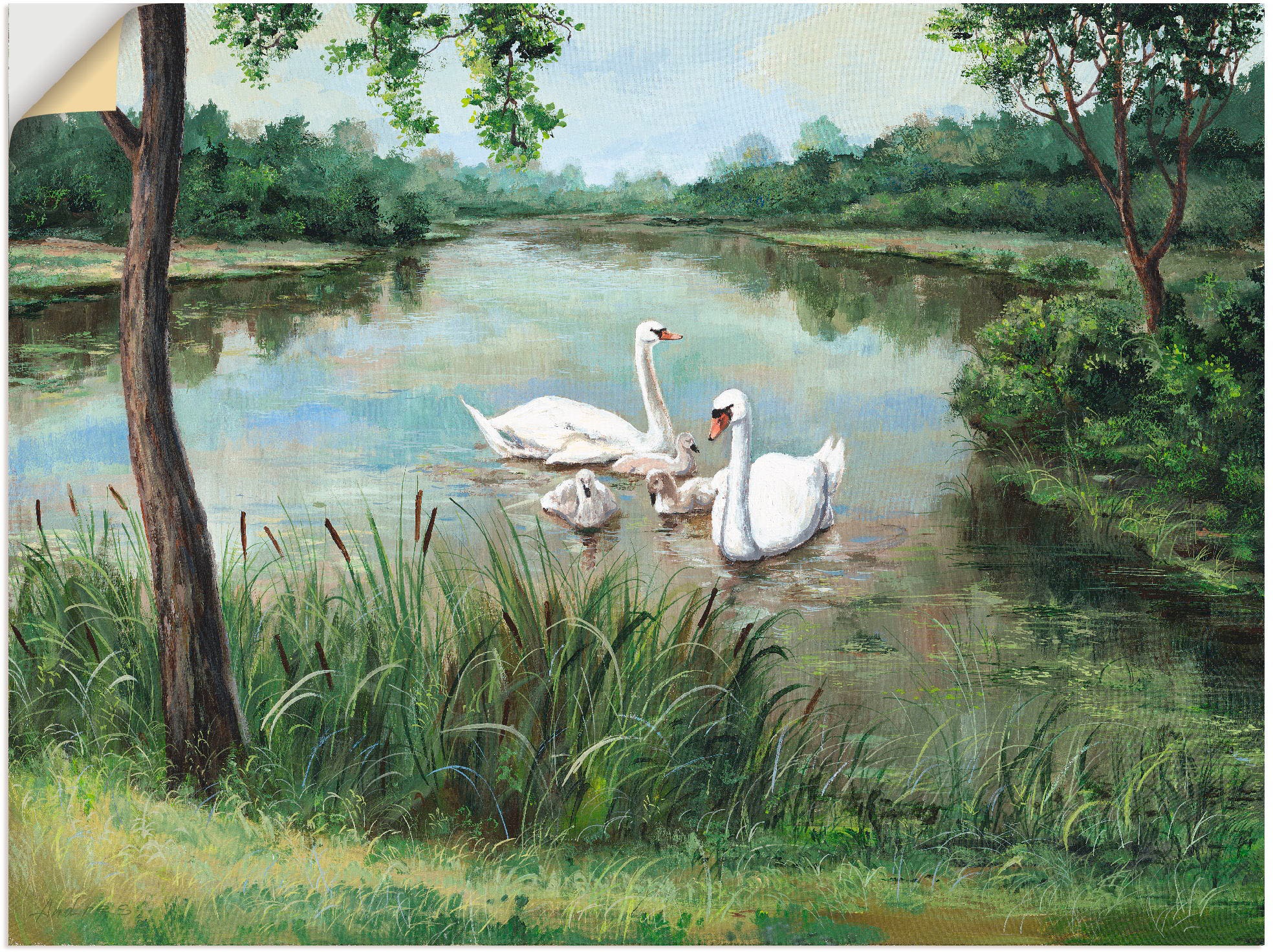 Image of Artland Wandbild »Schwäne«, Vögel, (1 St.), in vielen Grössen & Produktarten - Alubild / Outdoorbild für den Aussenbereich, Leinwandbild, Poster, Wandaufkleber / Wandtattoo auch für Badezimmer geeignet bei Ackermann Versand Schweiz