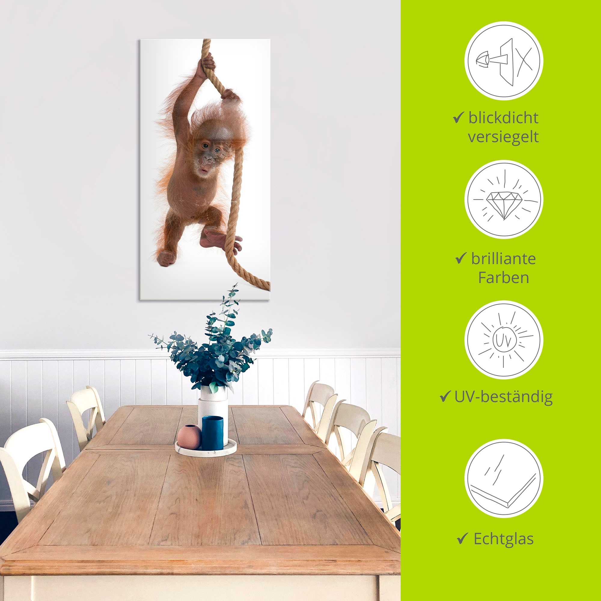 Artland Glasbild »Baby Orang Utan hängt am Seil I« Wildtiere 1 Stk. tlg. in verschiedenen Grössen