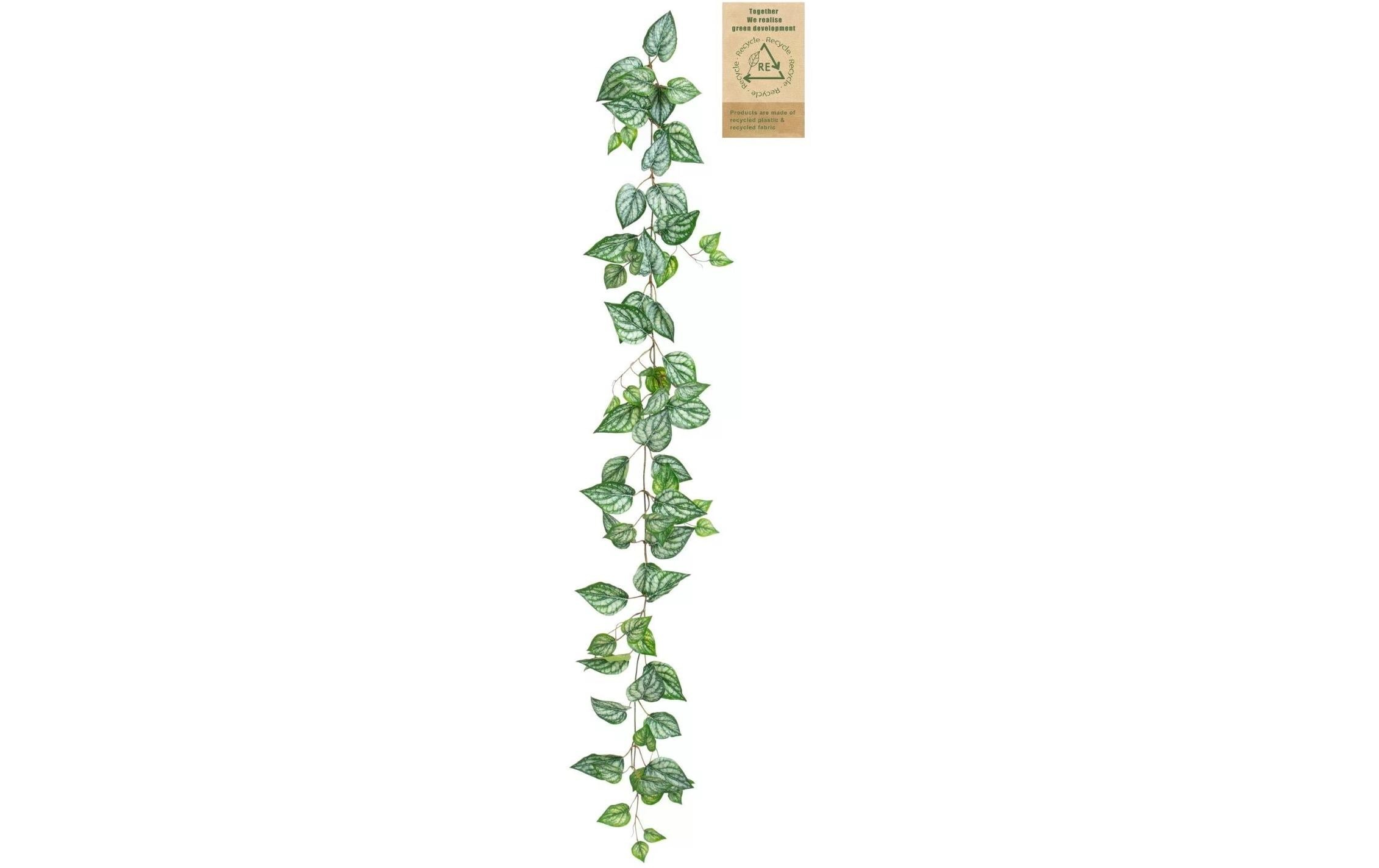 Image of Botanic-Haus Kunstblume "Calatheagirlande 150 cm"