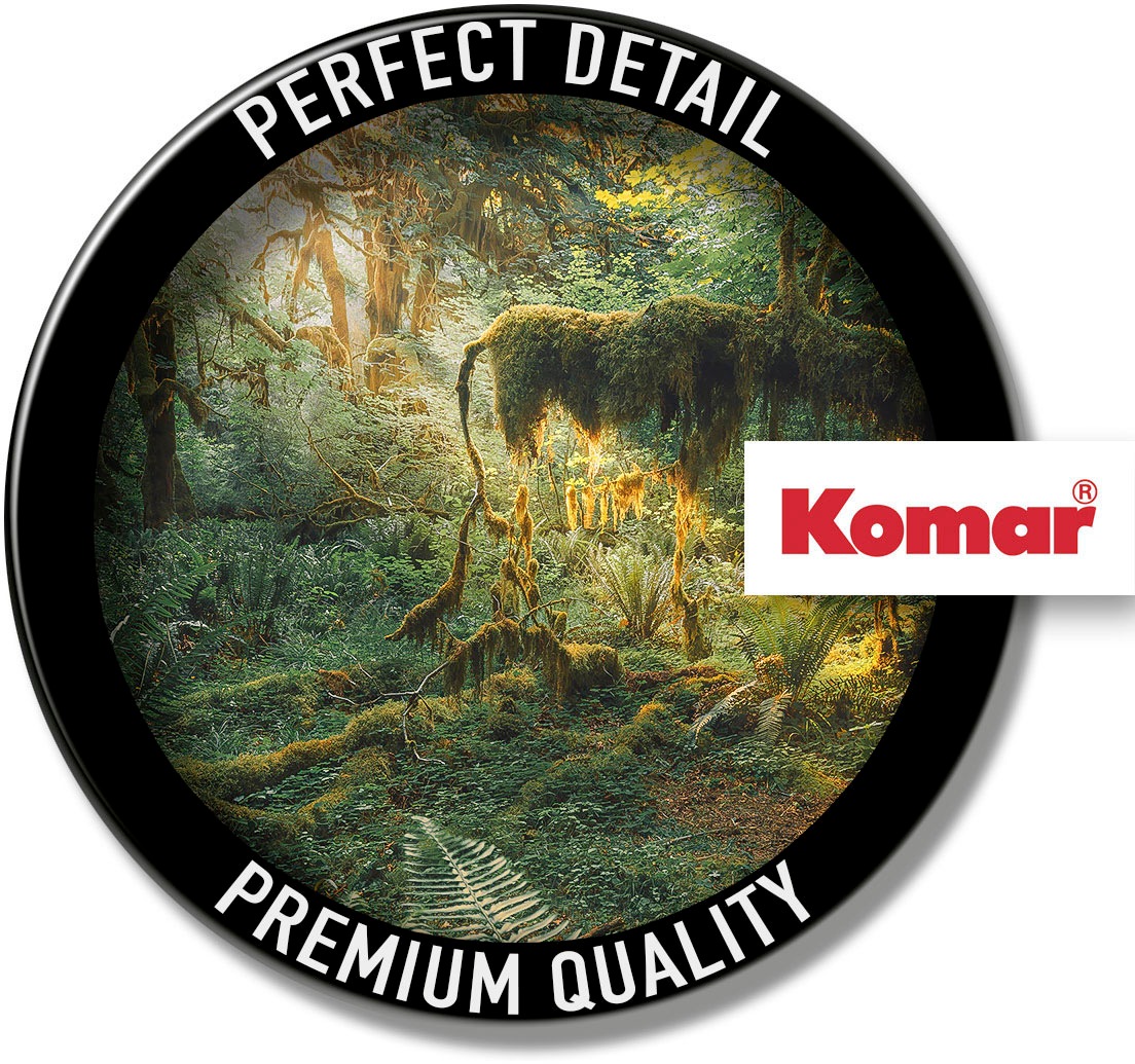 Komar Fototapete »Digitaldruck Vlies -  Hall of Mosses - Grösse 400 x 250 cm« bedruckt glatt Wohnzimmer, Schlafzimmer